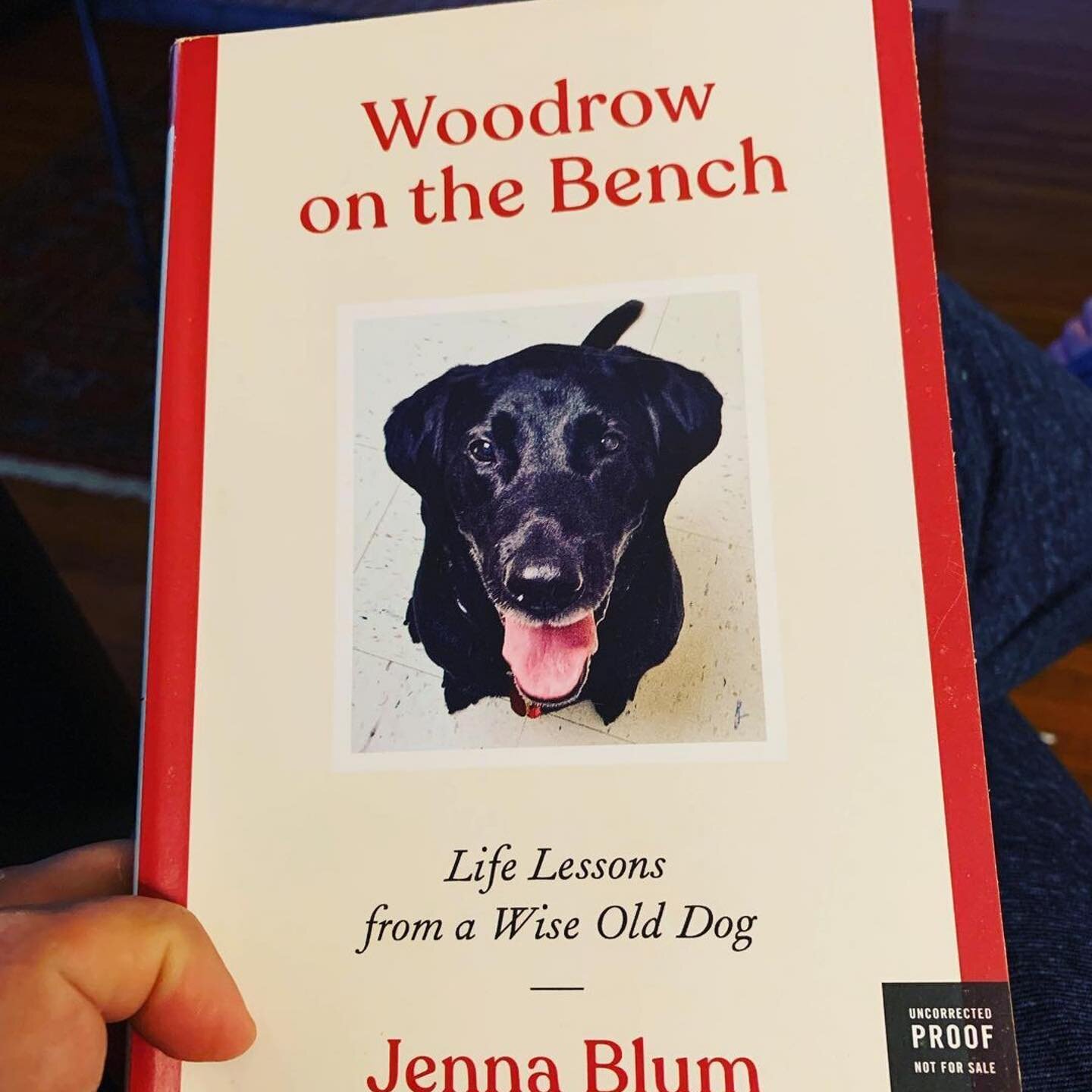 Thank you very much to The @alexgeorge for reading the book about ME. I hear The Alex has a very good DOG named The Theo, to whom I send my best regards me fervent wishes for extra bacon today. 🐾🥓
🥓🥓🥓
@harperbooks @mmqlit @skylarkbookshop @beitn