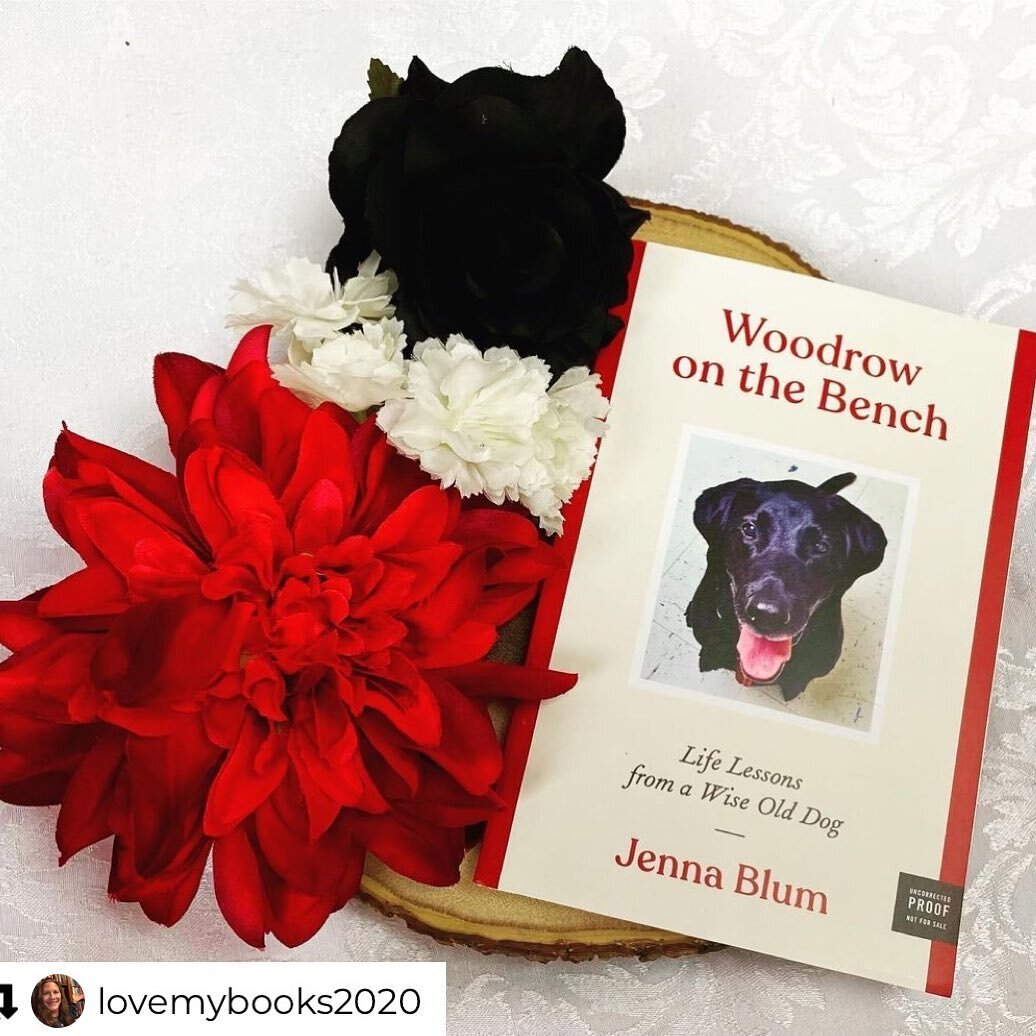 @woodrowonthebench very much approves this gorgeous cover reveal with vibrant flowers from a beautiful LADY. 🐾❤️😍
@suzyapprovedbooktours @mmqlit @harperbooks @beitnerkatherine @bookprgirl #dogmom #blacklab #blacklablove #coverreveal @olderlabs