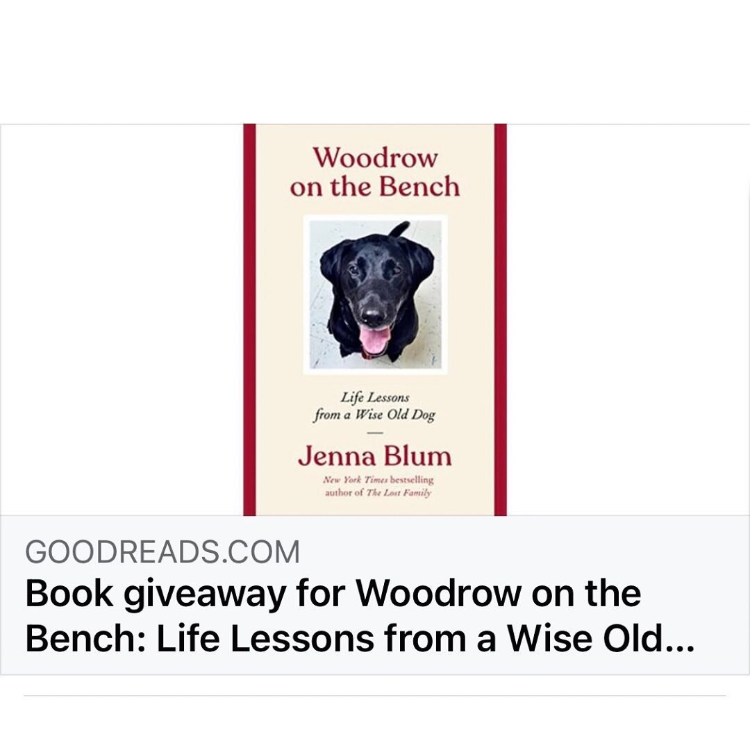 A chance to win the book about ME on The @goodreads! Good luck, humans! 
🍔🍔🍔
From Mommoo @jenna_blum (&amp; of COURSE I get around, Mommool, that is my JOB): 
@woodrowonthebench is on @goodreads today! That dog gets around. 🐾📚❤️📣#GIVEAWAY for t