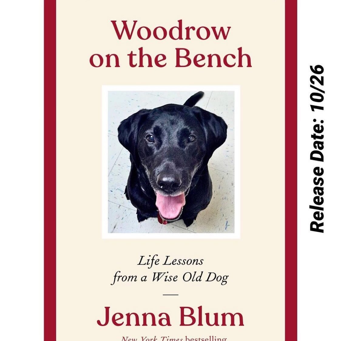 It #GIVEAWAY time! Who would love to read an advance copy of @woodrowonthebench &hellip;? Directions below! 🐾❤️📚⬇️
Repost from @suzyapprovedbookreviews
&bull;
�
Signed Book Giveaway ! 

&rdquo;Woodrow On The Bench &ldquo; by @jenna_blum releases 10