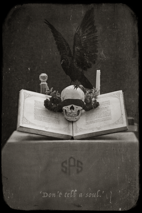 High-Res+Bird+Image+(50).png