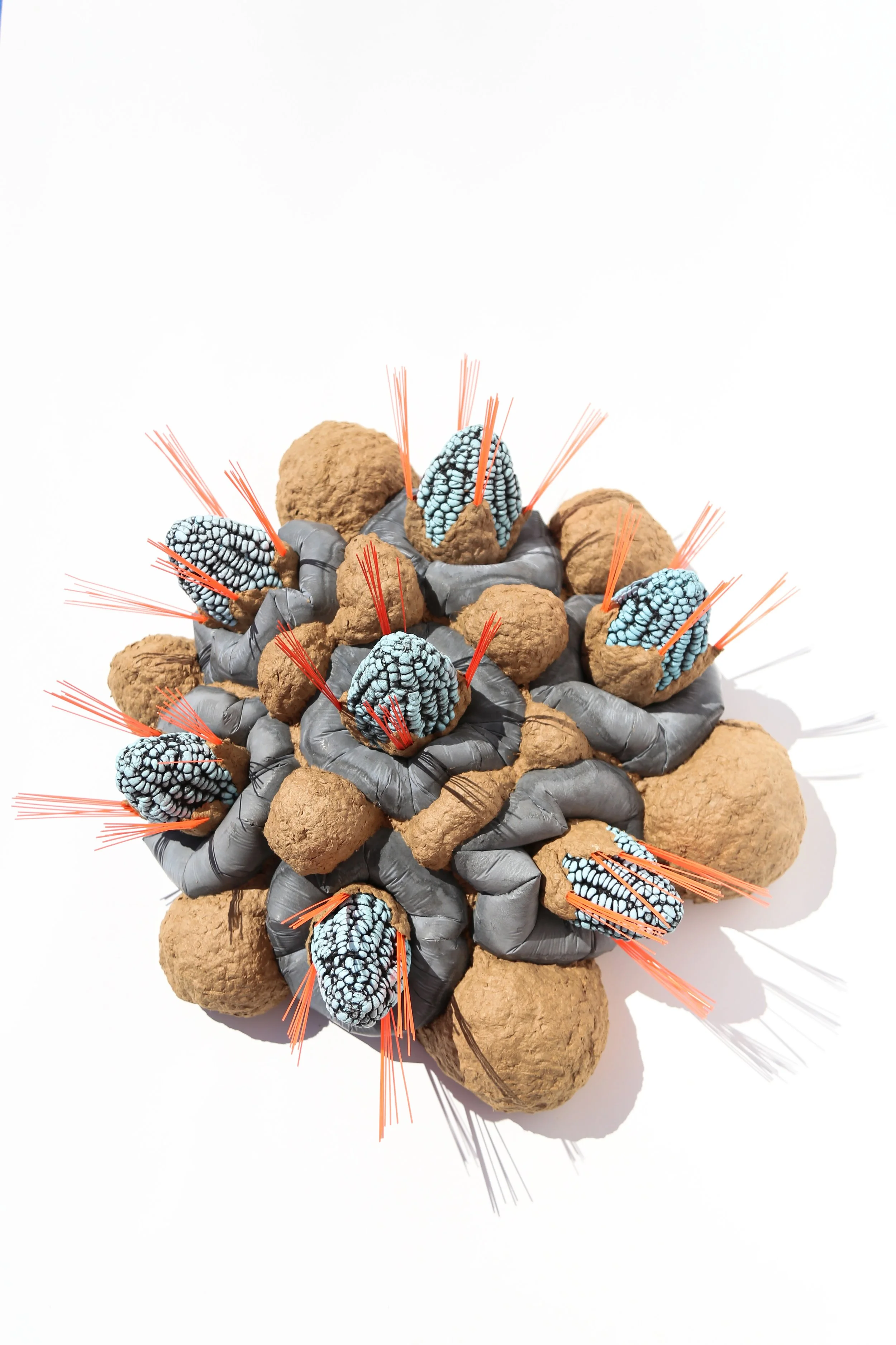 Signa-Aviles-Recollector_Seeds-1.jpg