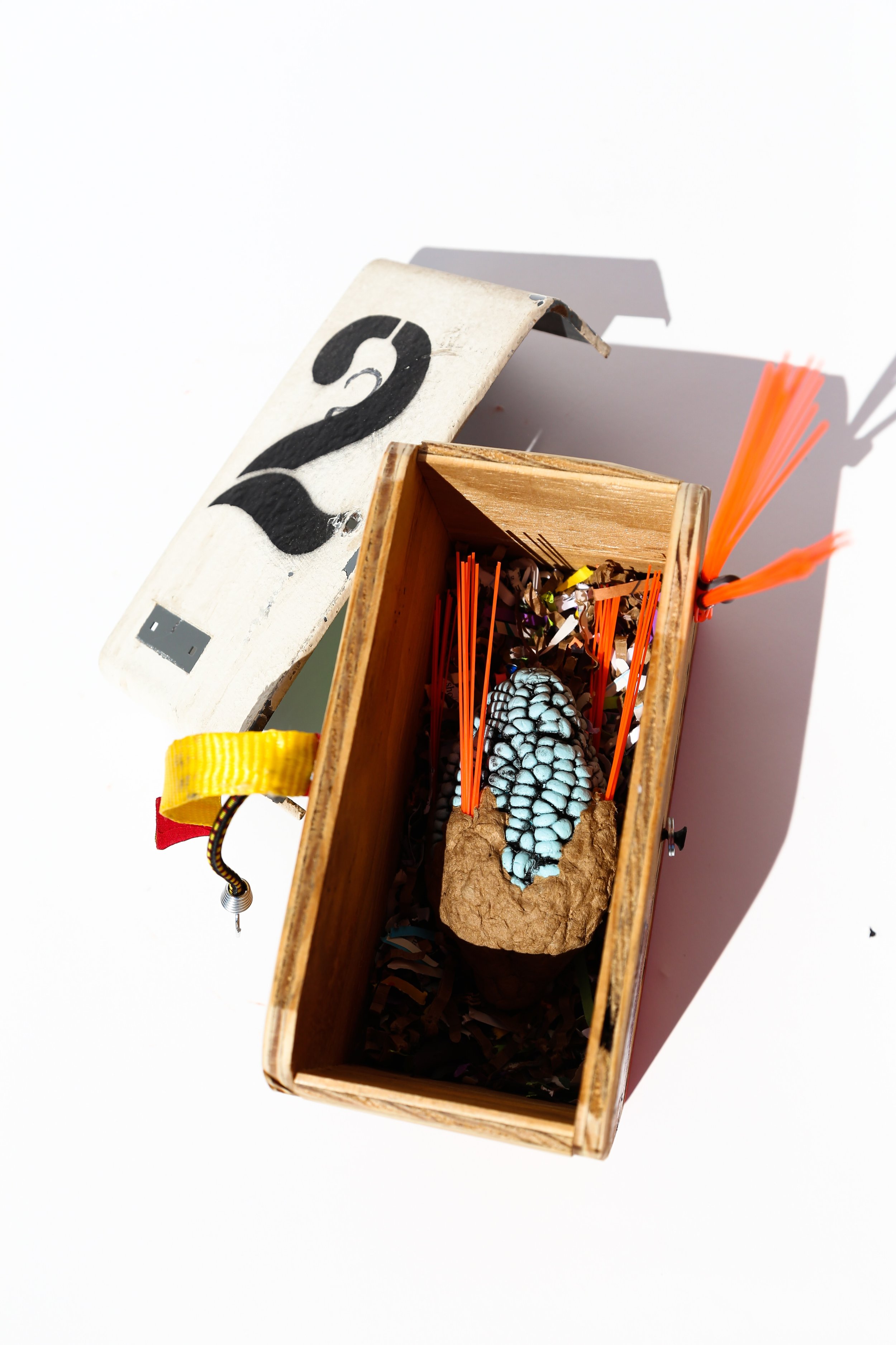 Signa-Aviles-Recollector_Seeds-3.jpg
