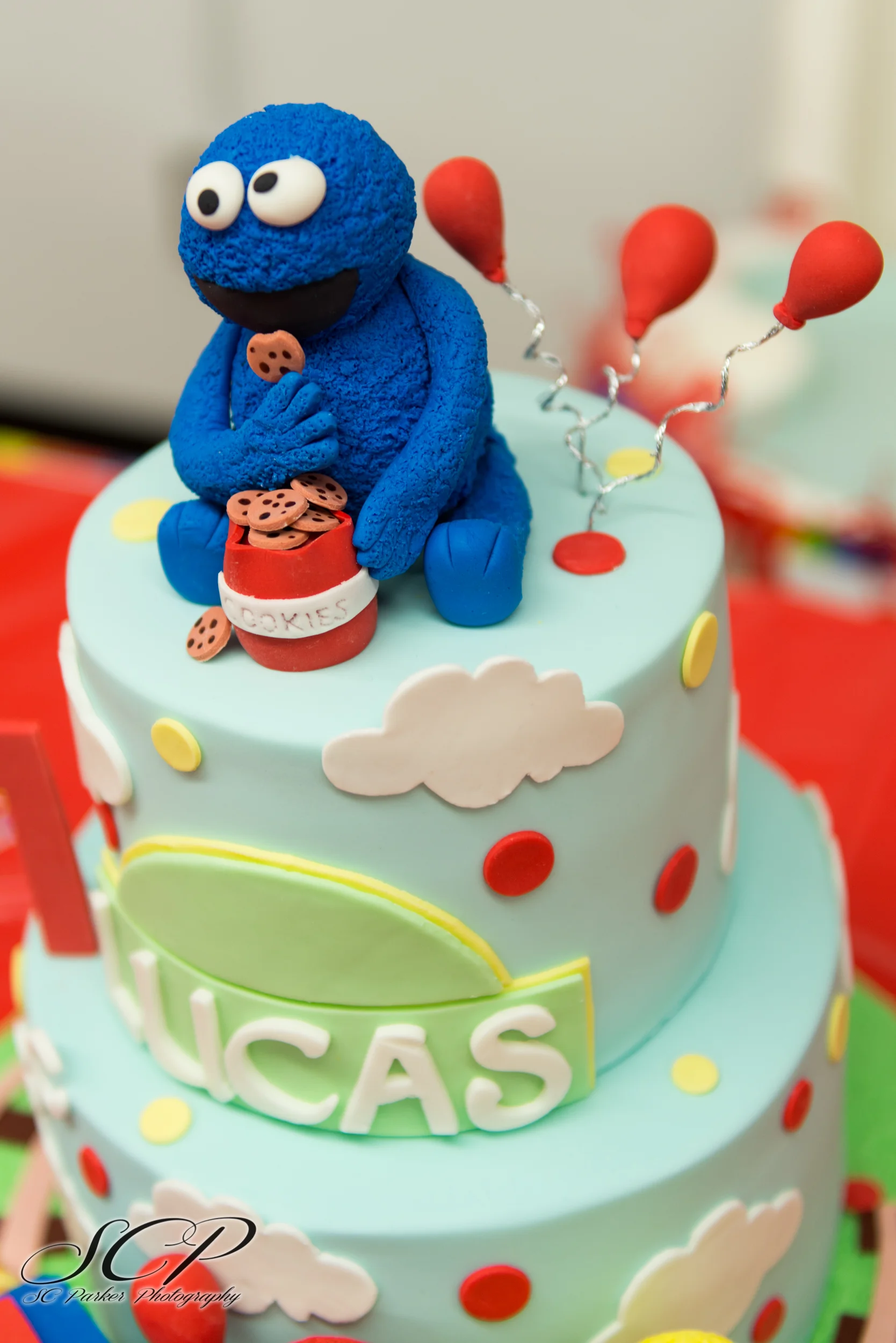 Lucus 1 Yr old_SC Parker Photography.Samantha Parker.Sparker360-3.jpg
