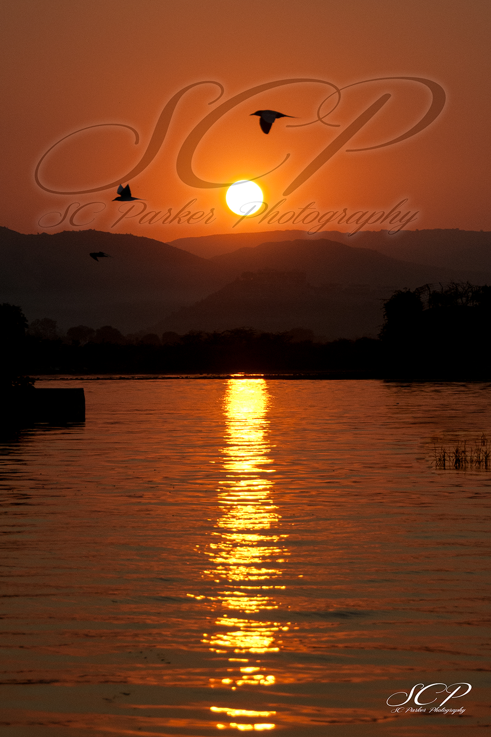 Website_Sunset India 12x18 Samantha Parker. SCParkerpPhotography.png
