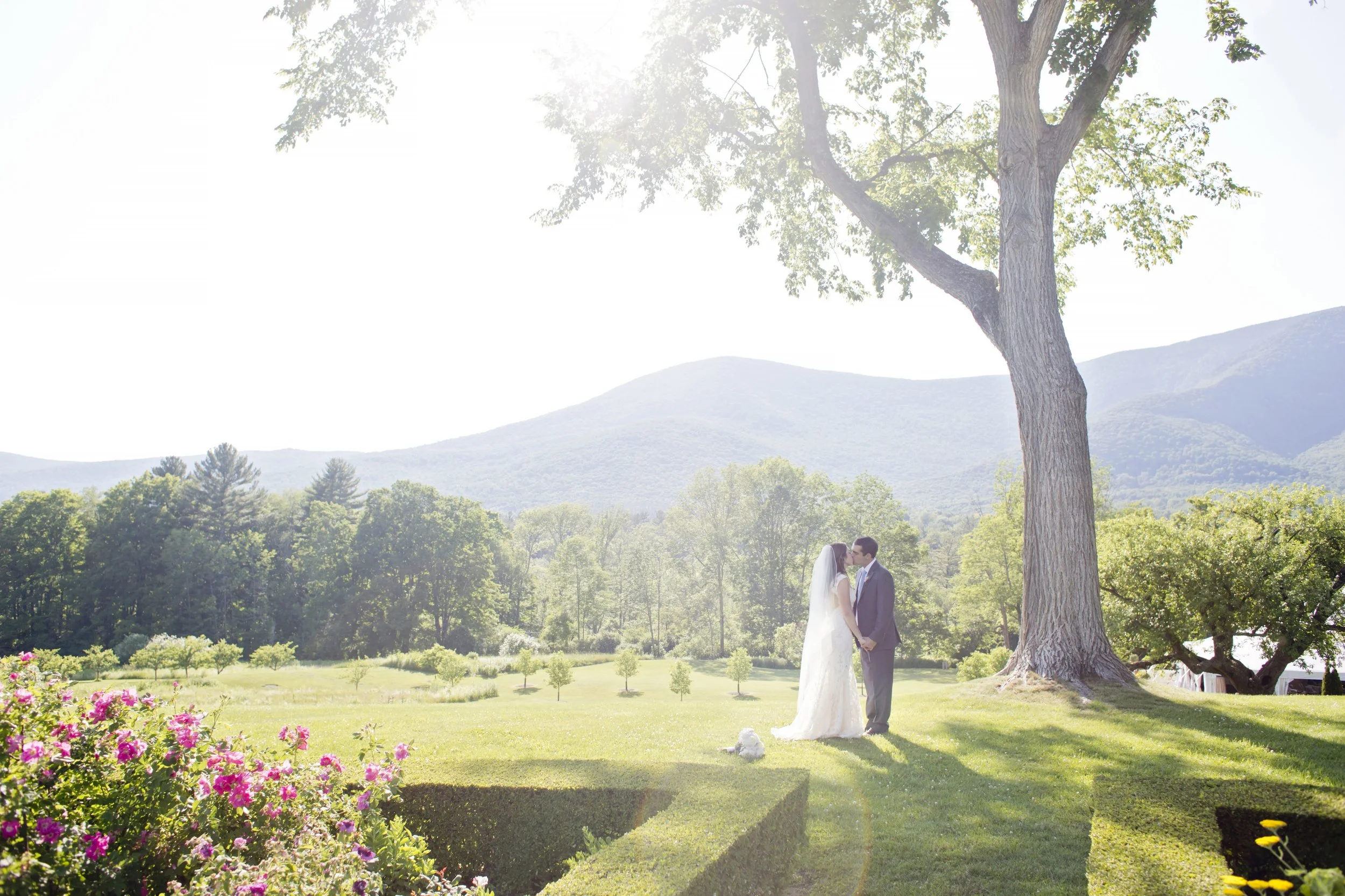 Wedding-Color-269.JPG