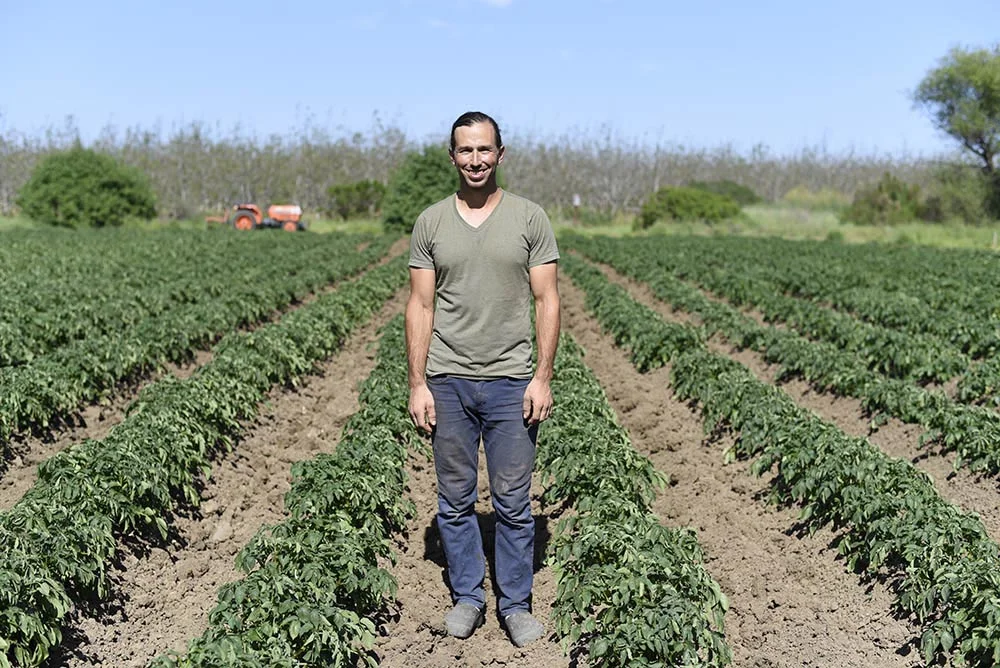 free_spirit_farm_web.jpg