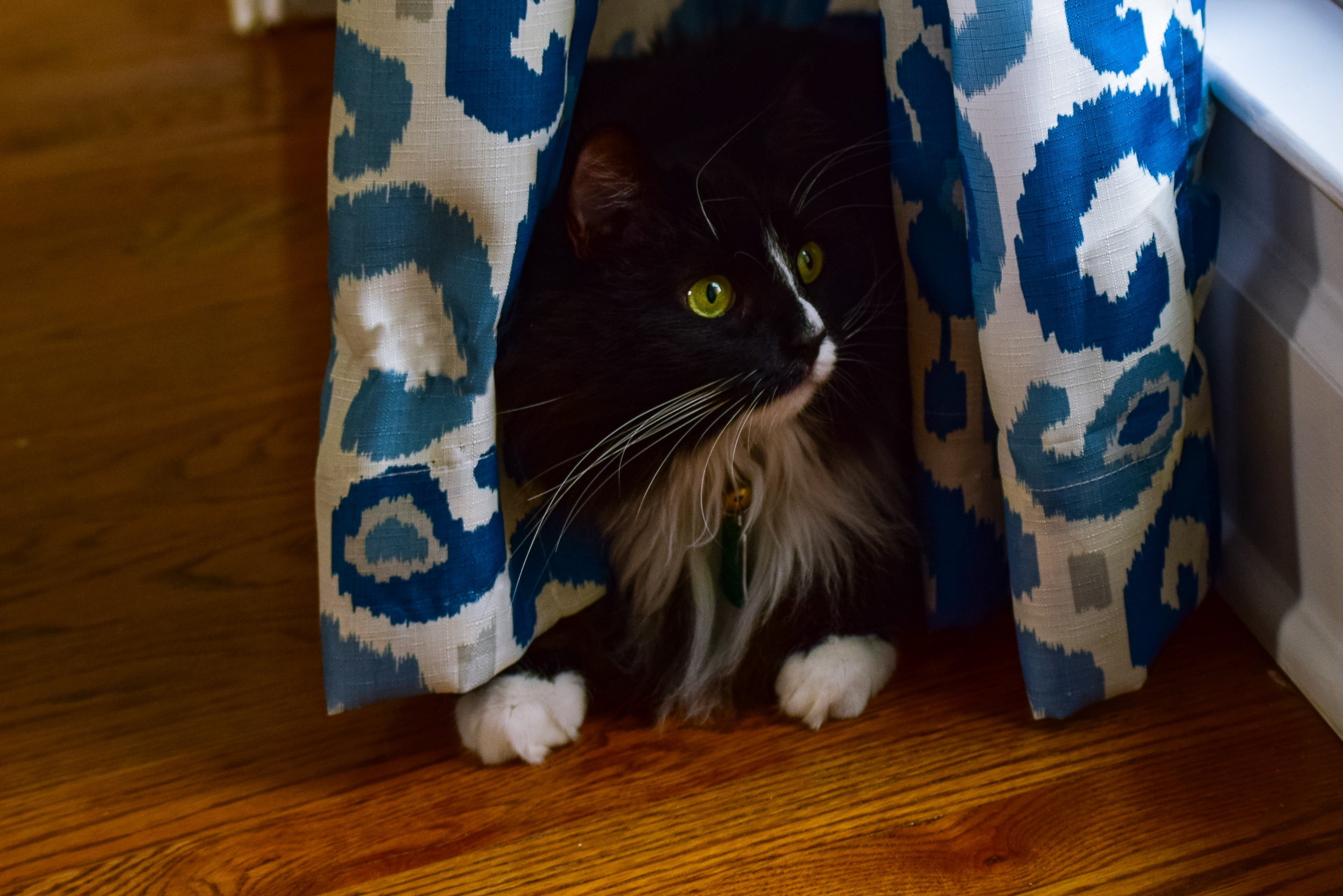 DSC_0123.jpg