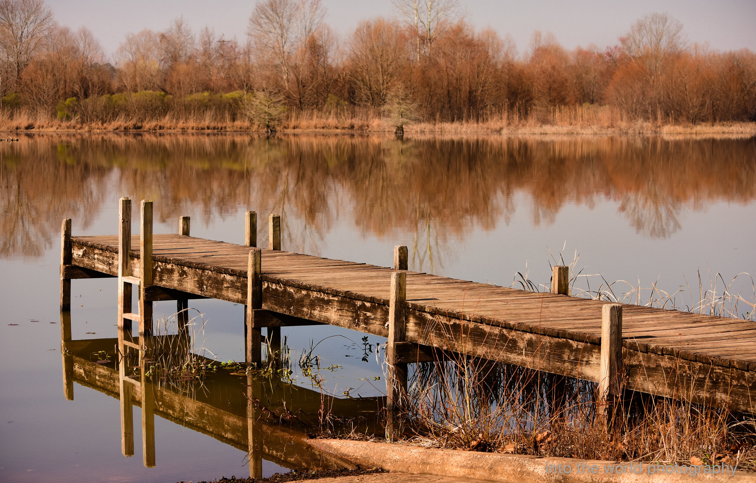 noxubee dock.jpg