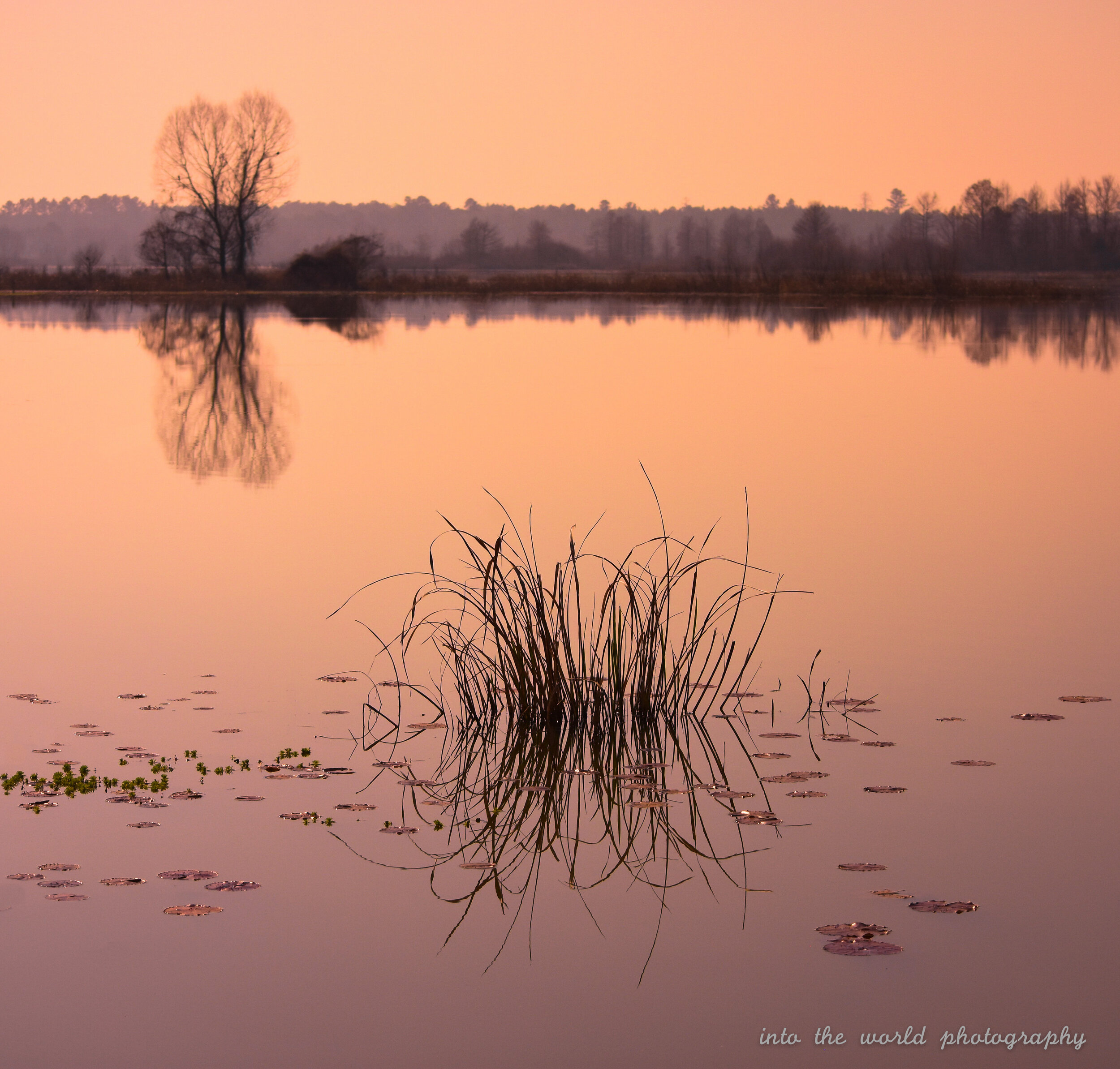 noxubee reflection 4 copy.jpg