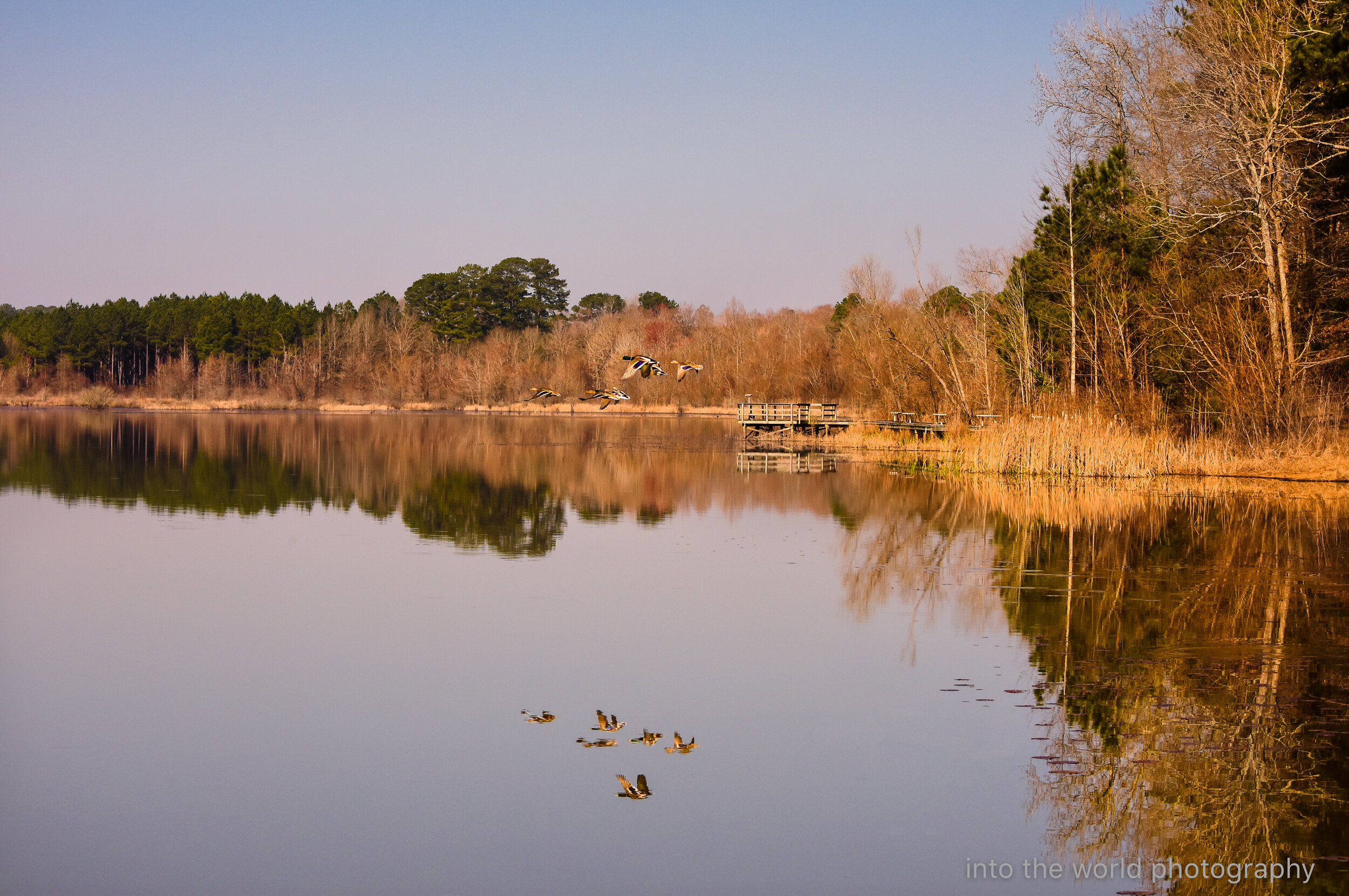 noxubee duck dock 2.jpg