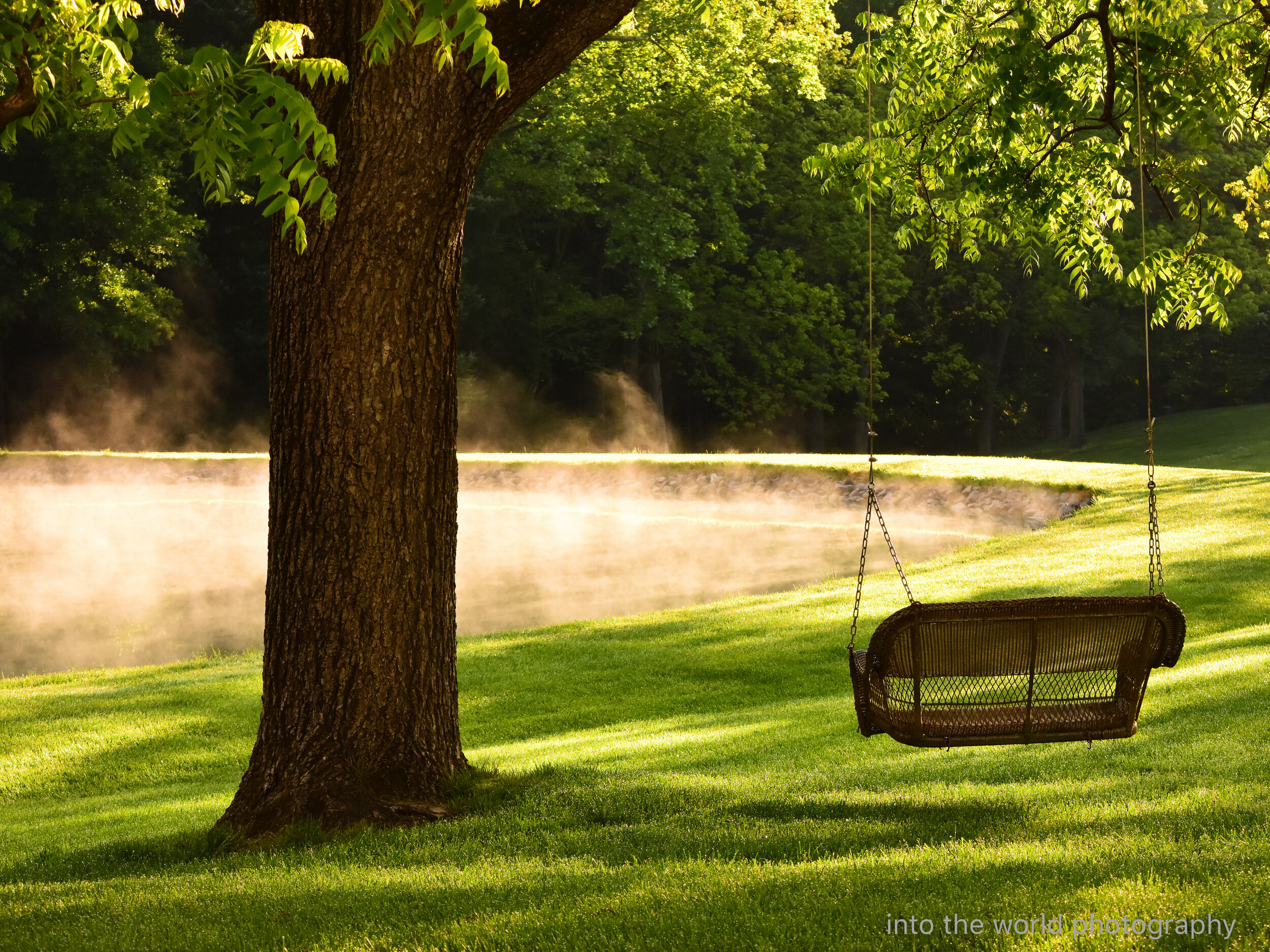 steamy spring swing.jpg