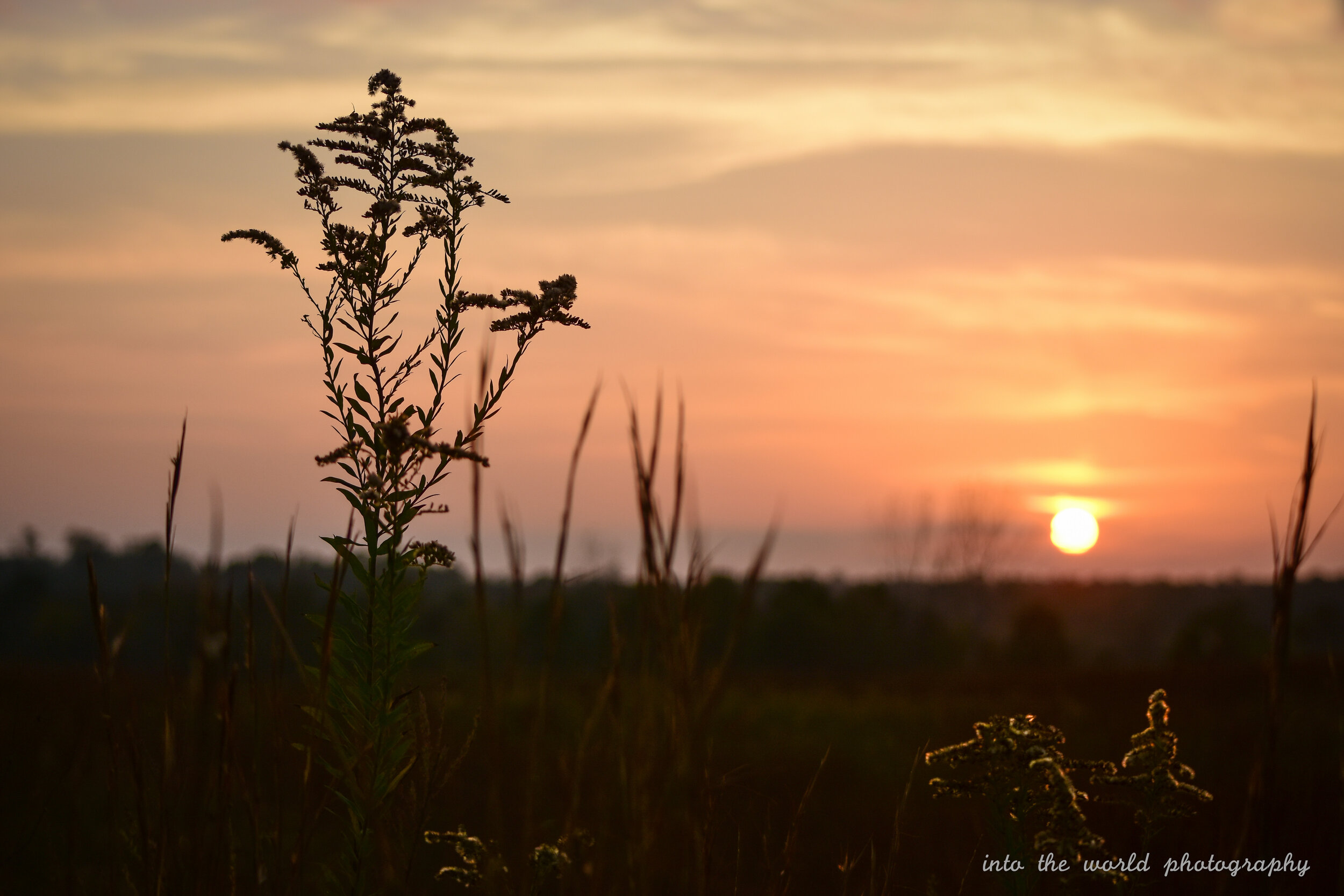 sunset on the prarie 2.jpg