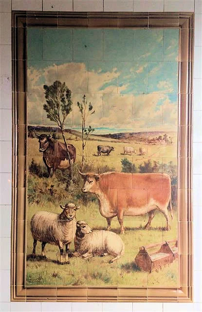 sheep (1).jpg