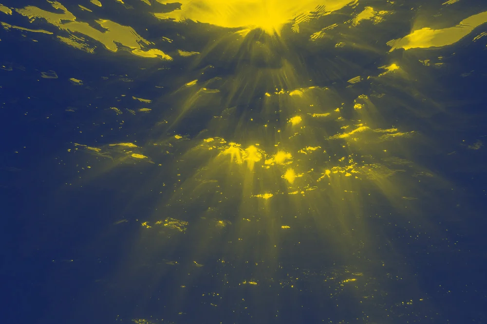 water_duotoned.jpg