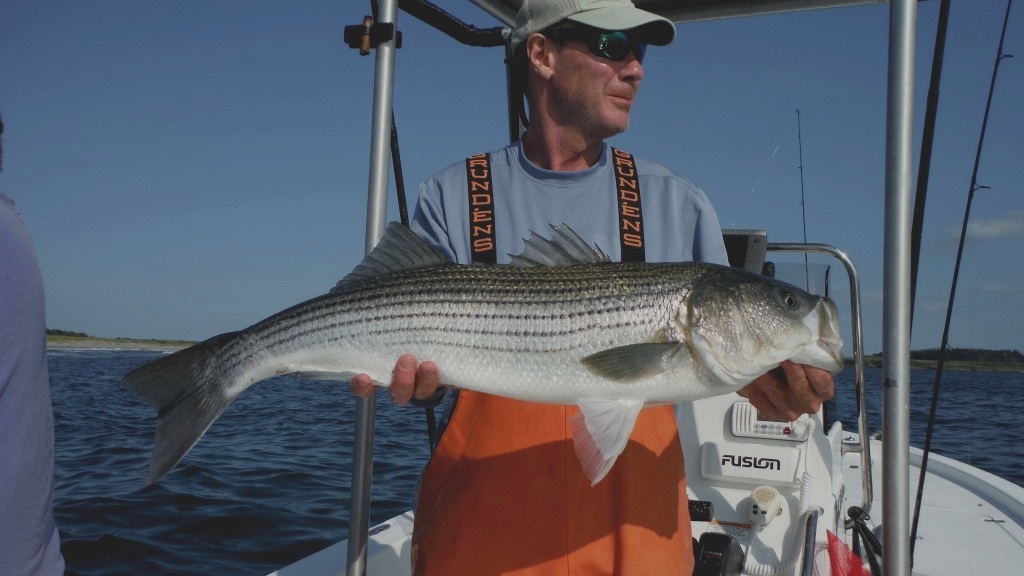 maine_coast_guides.jpg