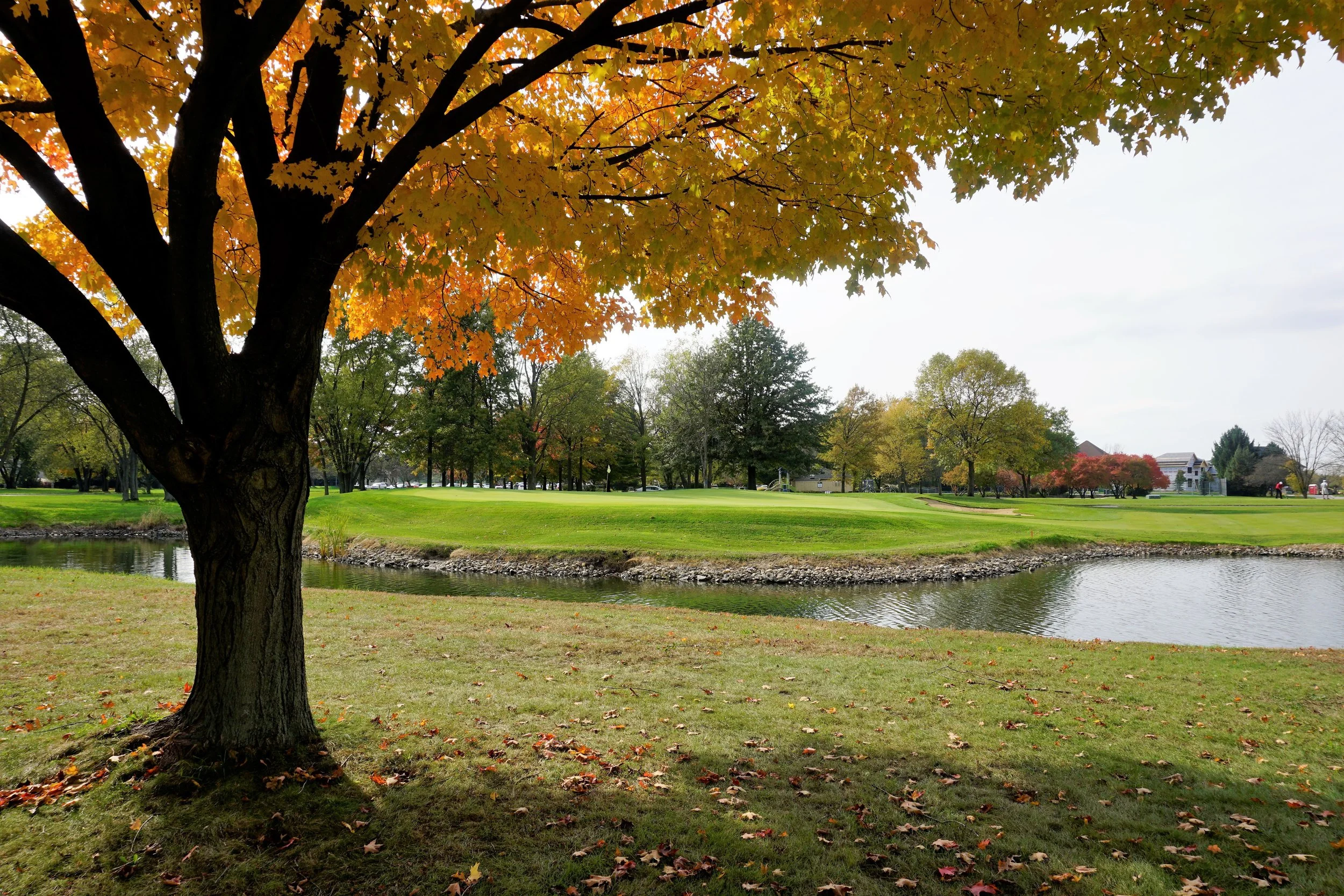 Fall and Dunes 014.JPG
