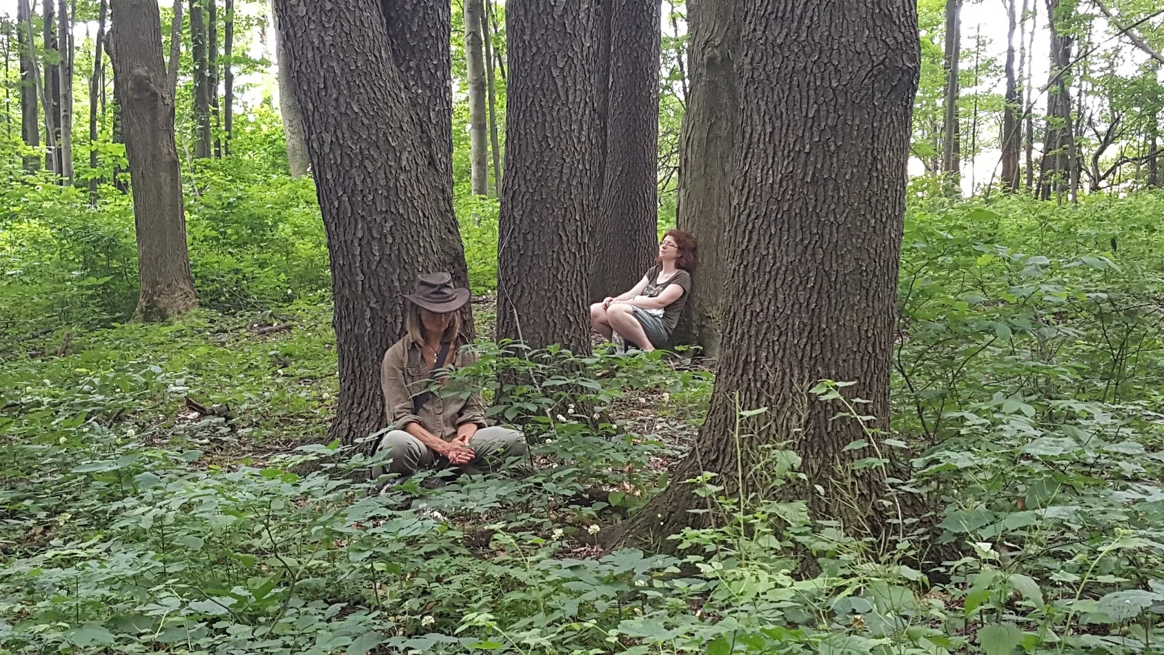Lorenna TLC Forest Bathing.jpg