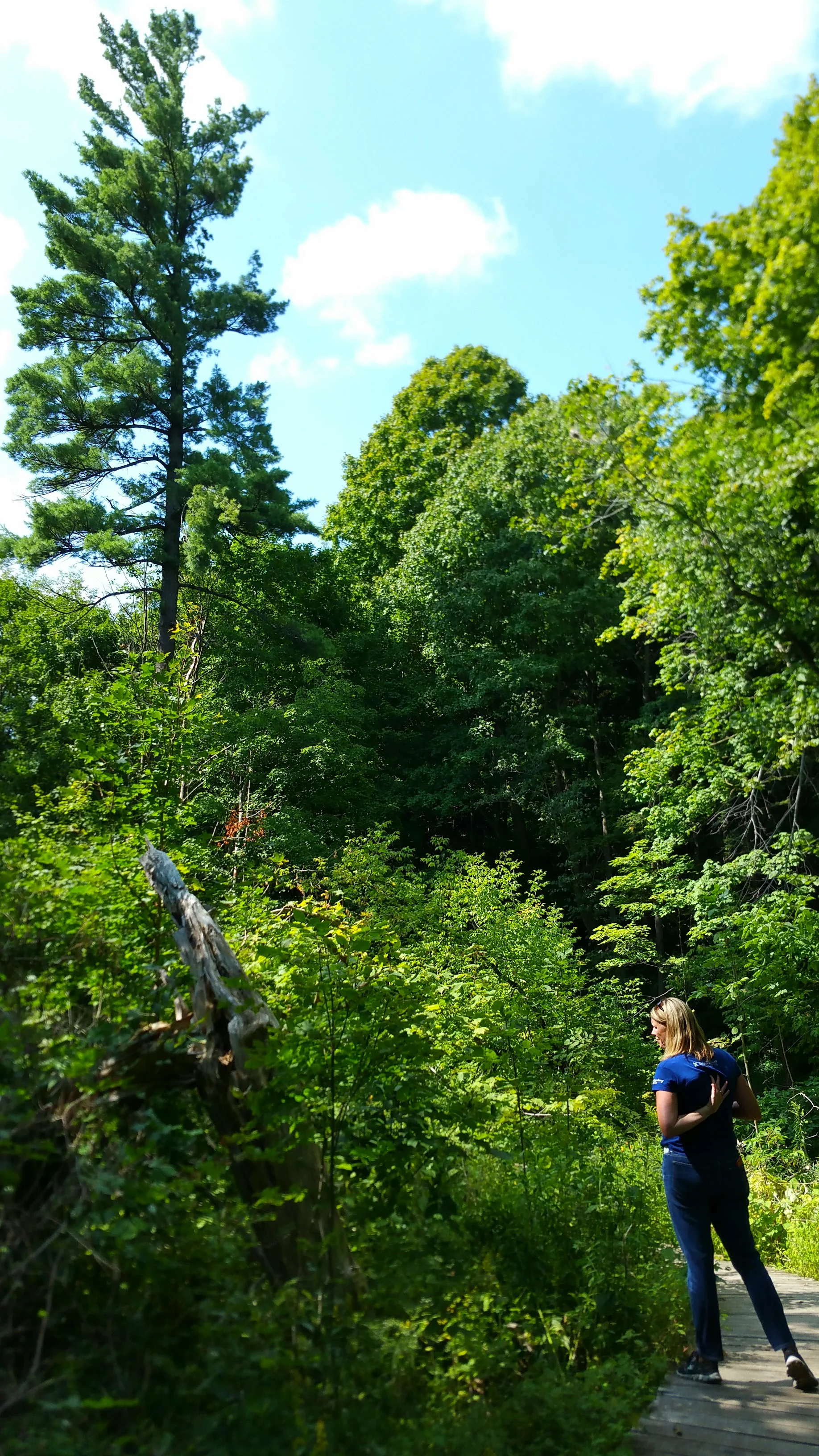 2015-08-28 23.10.31.jpg