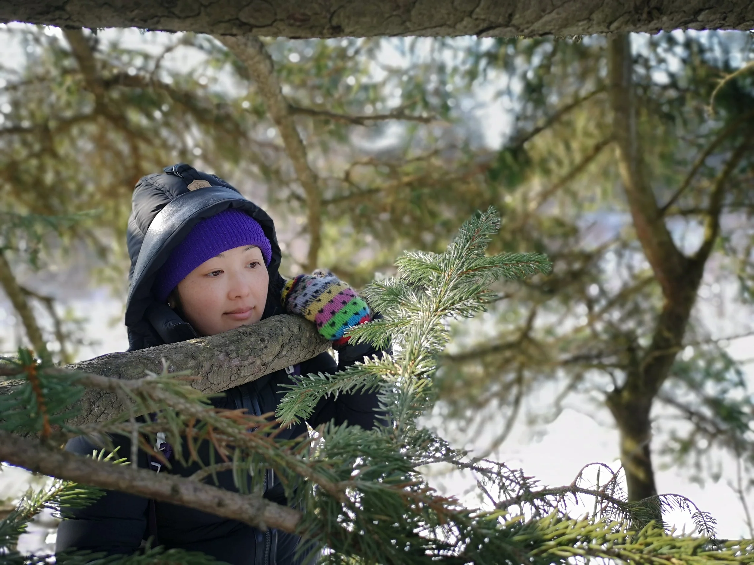 Joanna in the Tree.jpg