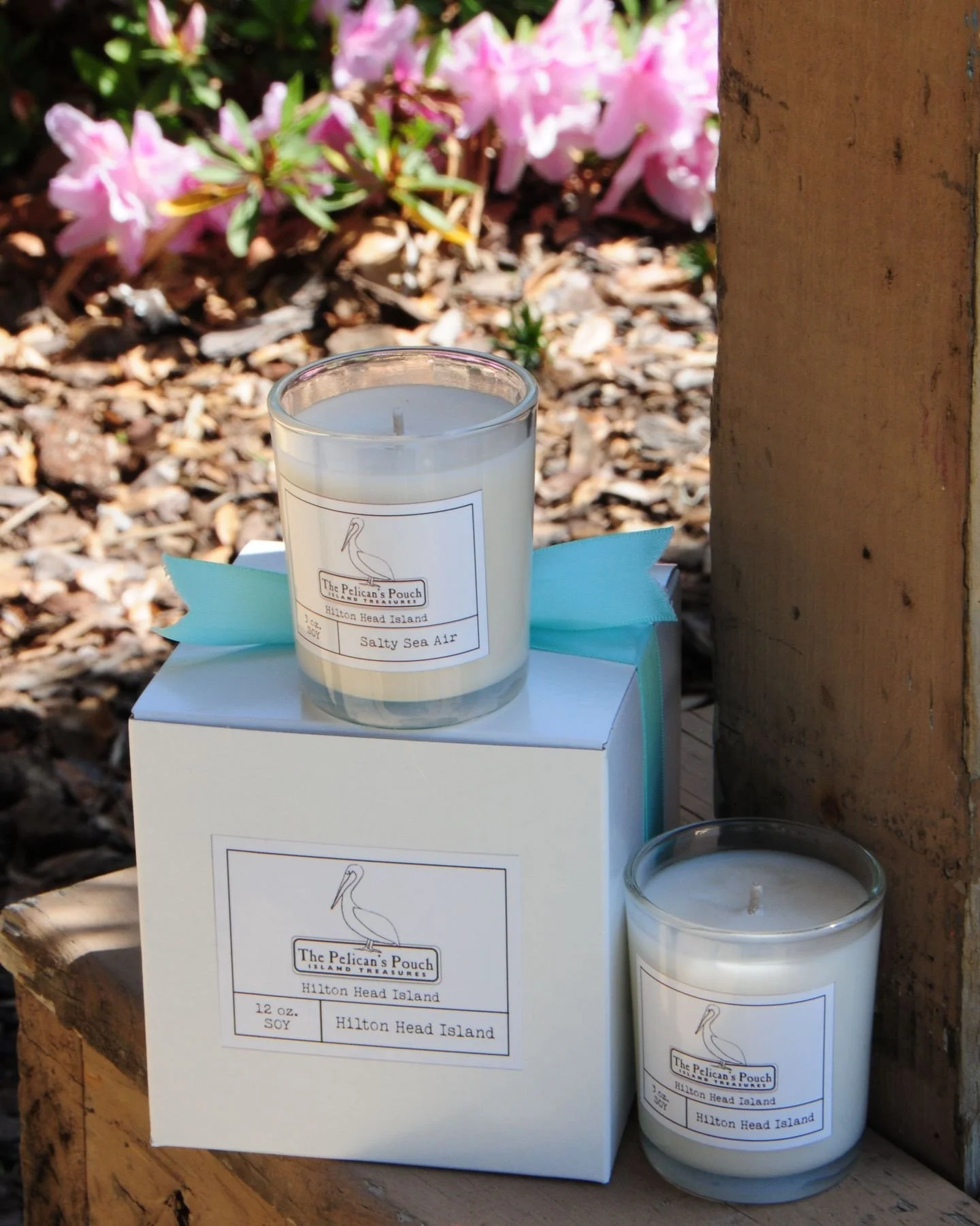 Take a piece of Hilton Head home with you 🕯️🌴
The Pelican&rsquo;s Pouch candle is made exclusively for our shop &mdash; the perfect hostess gift or island keepsake.

#hiltonheadgifts #shopsmall #shoplocal #hostessgift #hiltonheadshopping