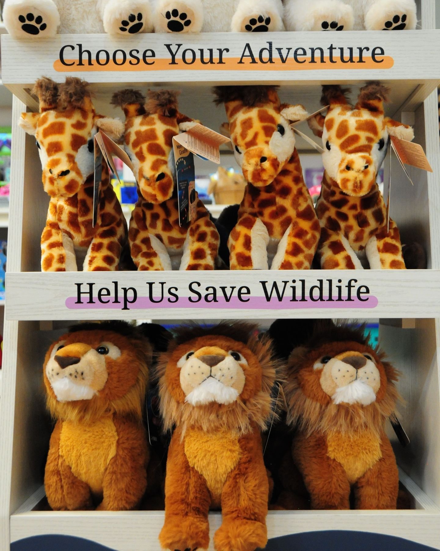 Pick your animal. Track their journey. Protect their future. 🐘🐢
Every Fahlo bracelet &amp; plushie unlocks a real animal you can follow on a map while supporting conservation partners working to protect endangered species.

#fahlo #wildlifeconserva