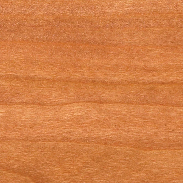 Cherry-Fawn-CROPPED-copy.jpg