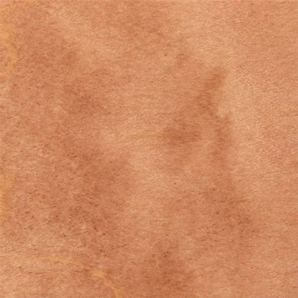 Maple-Fawn-copy.jpg