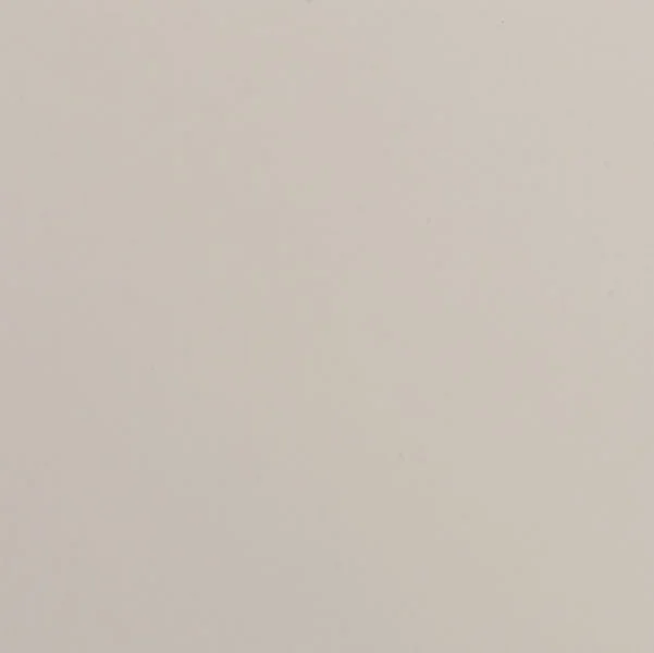 Sand-Dollar.jpg