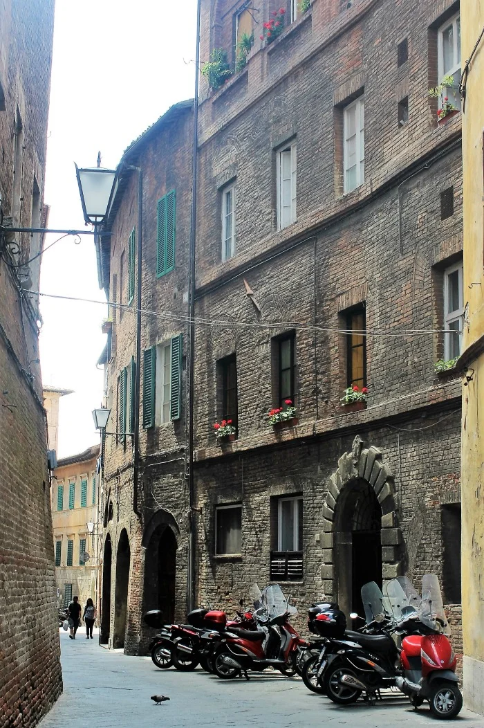 Siena Cycles 700.jpg