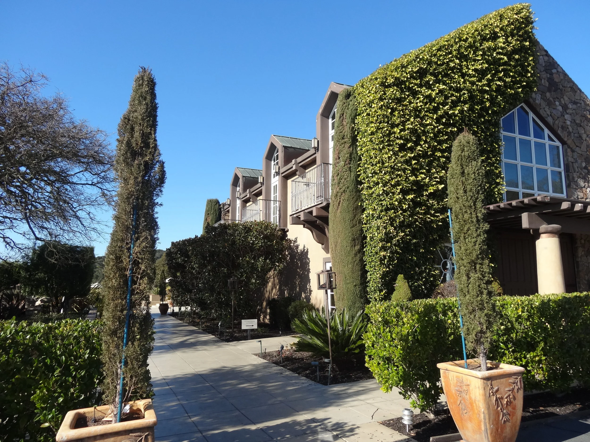 Wine Country Fires Bring Devastation, Heartbreak and Resolve.