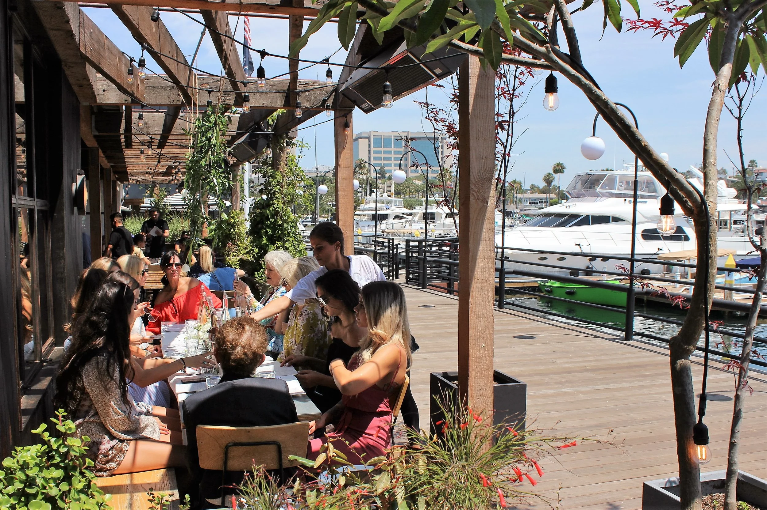 Zinque Newport Beach Ca
