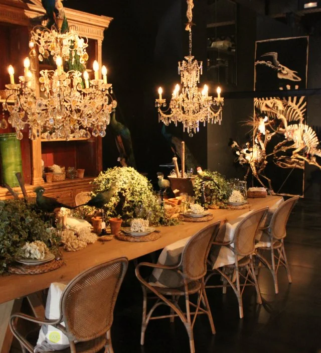 A Walk Down Memory Lane in Barcelona at Azul-Tierra