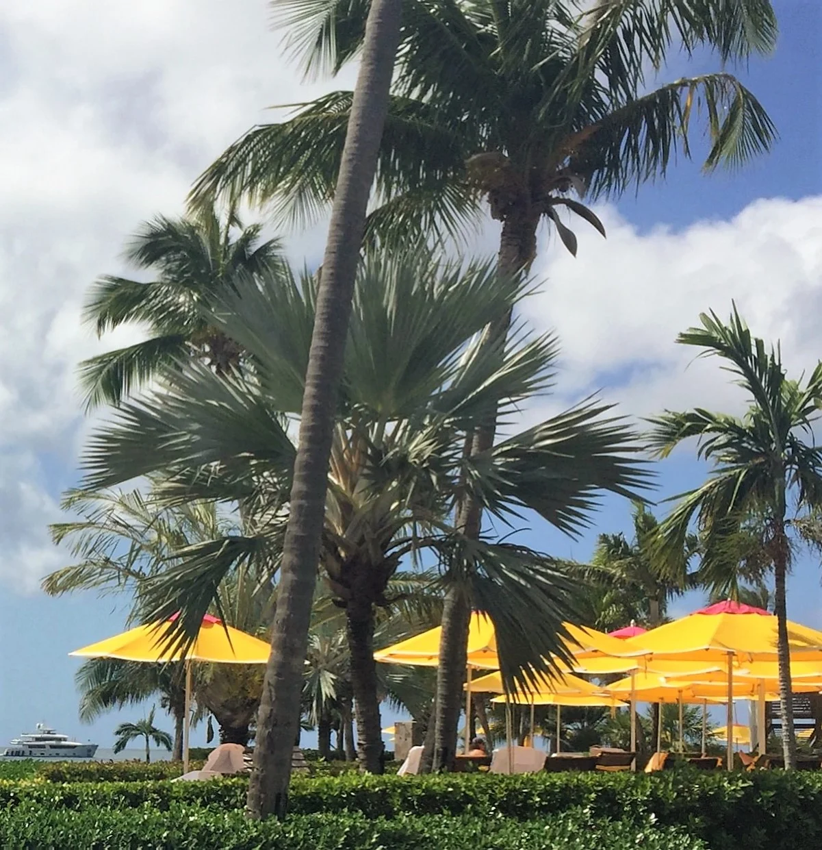 CURATED TRAVEL: Postcard from the Crown Princess on the Eastern Caribbean