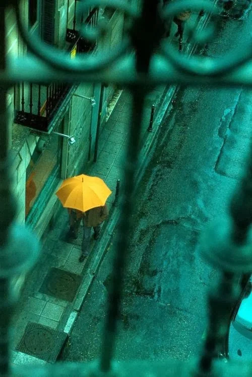Rainy Sunday at Home