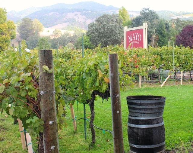 Getaway to Sonoma Valley Wine Country