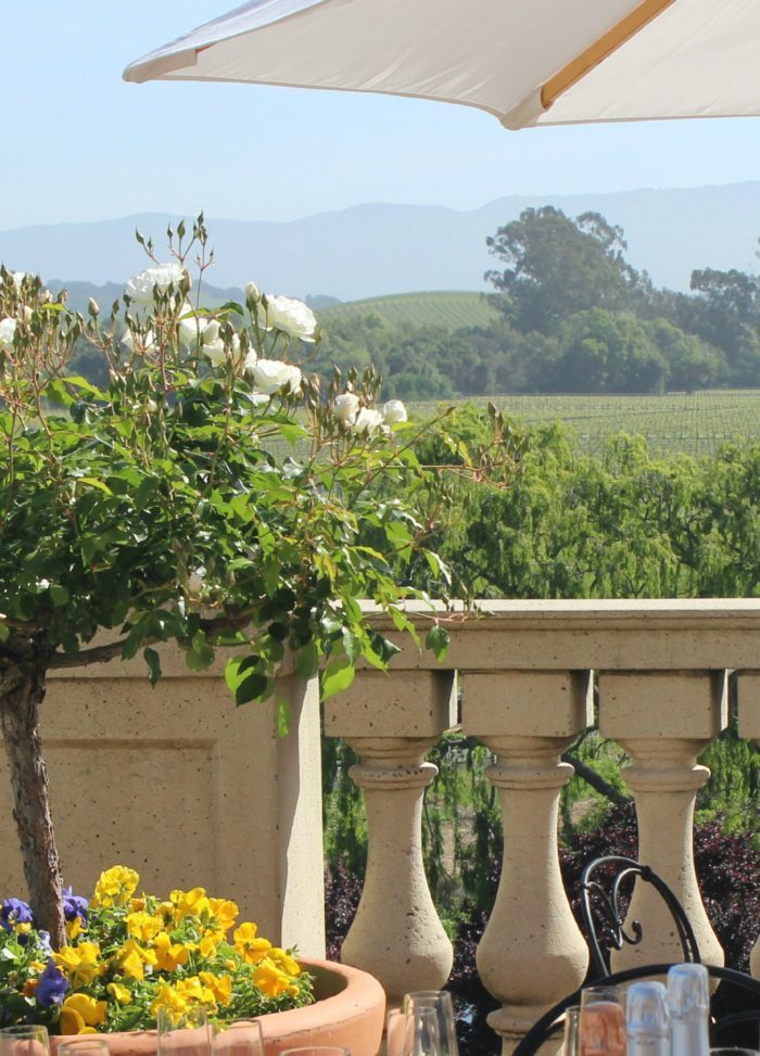 5 Favorite Things to Do in Napa Valley
