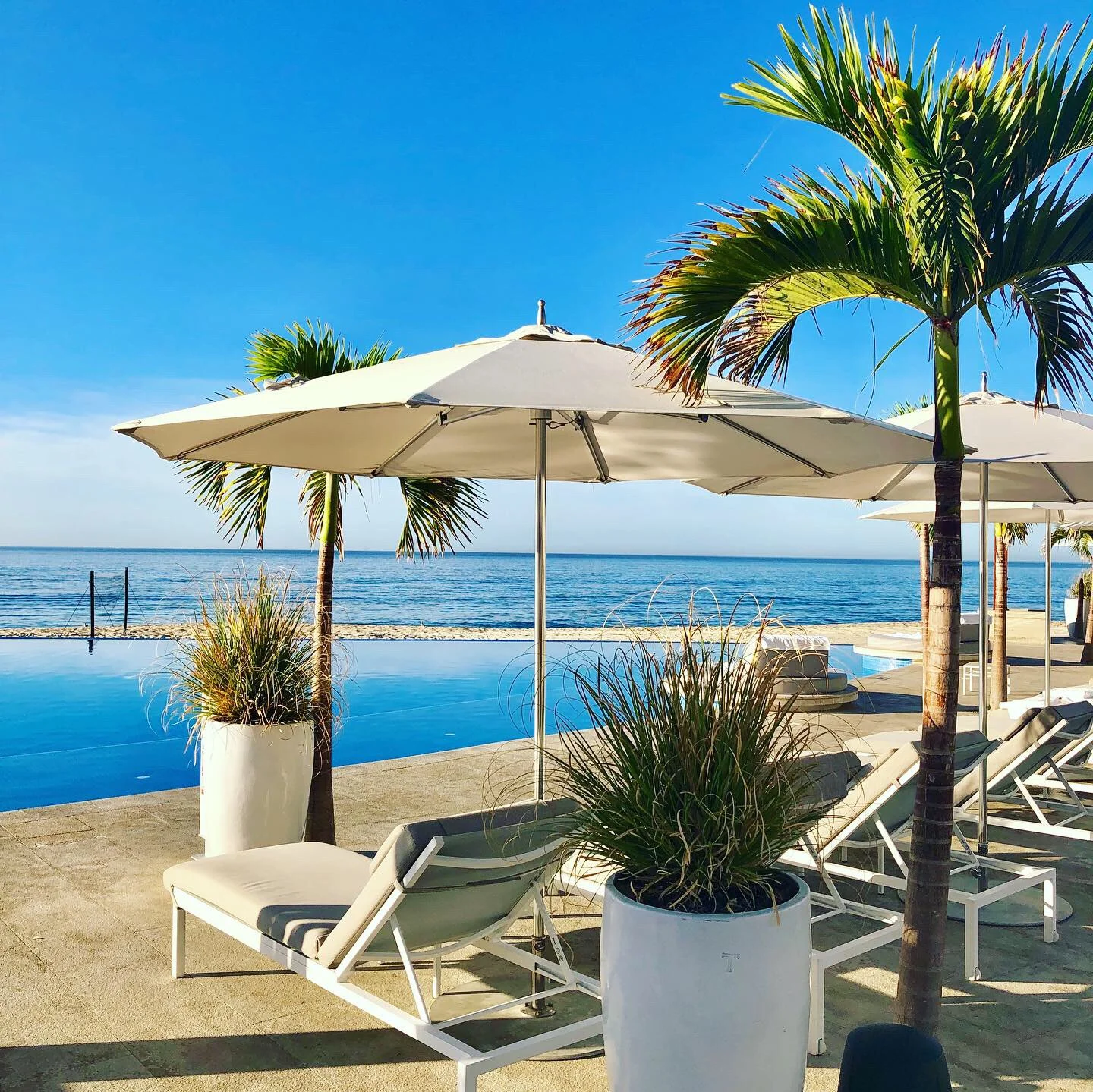 Curated Hotel: 3 Days at the Chic Le Blanc Spa Resort in Los Cabos