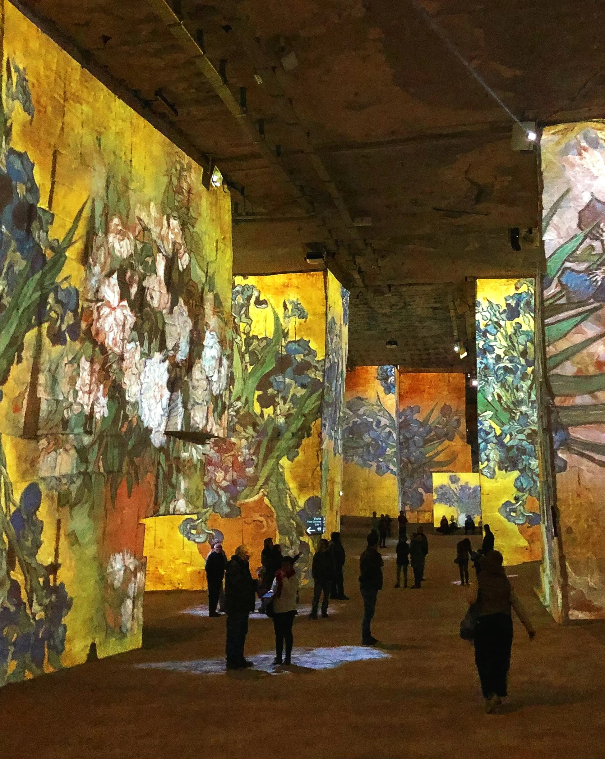 Highlights from Les Baux, Carrieres des Lumieres and Pont du Gard