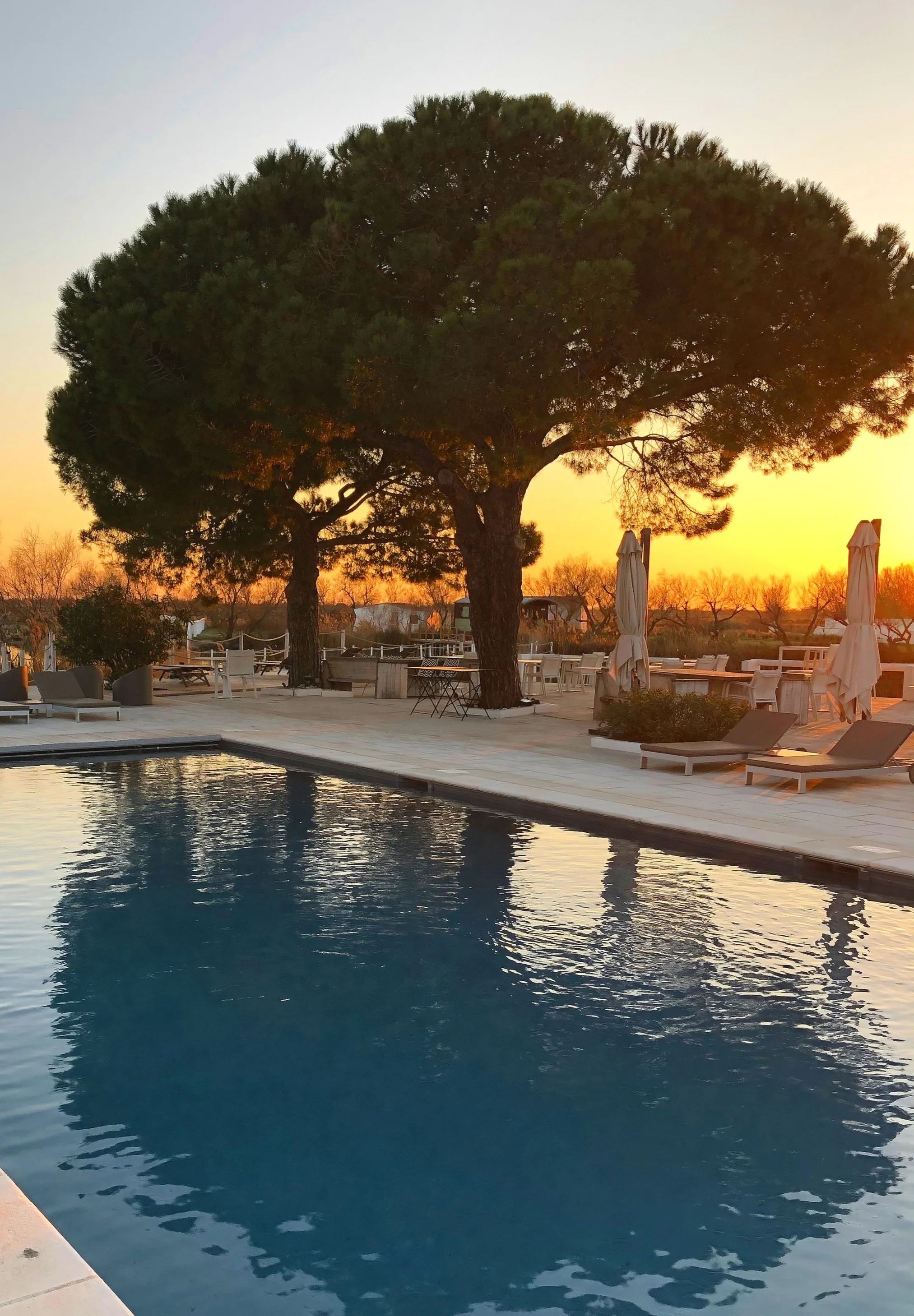 Camargue: Off the Beaten Path in Provence 