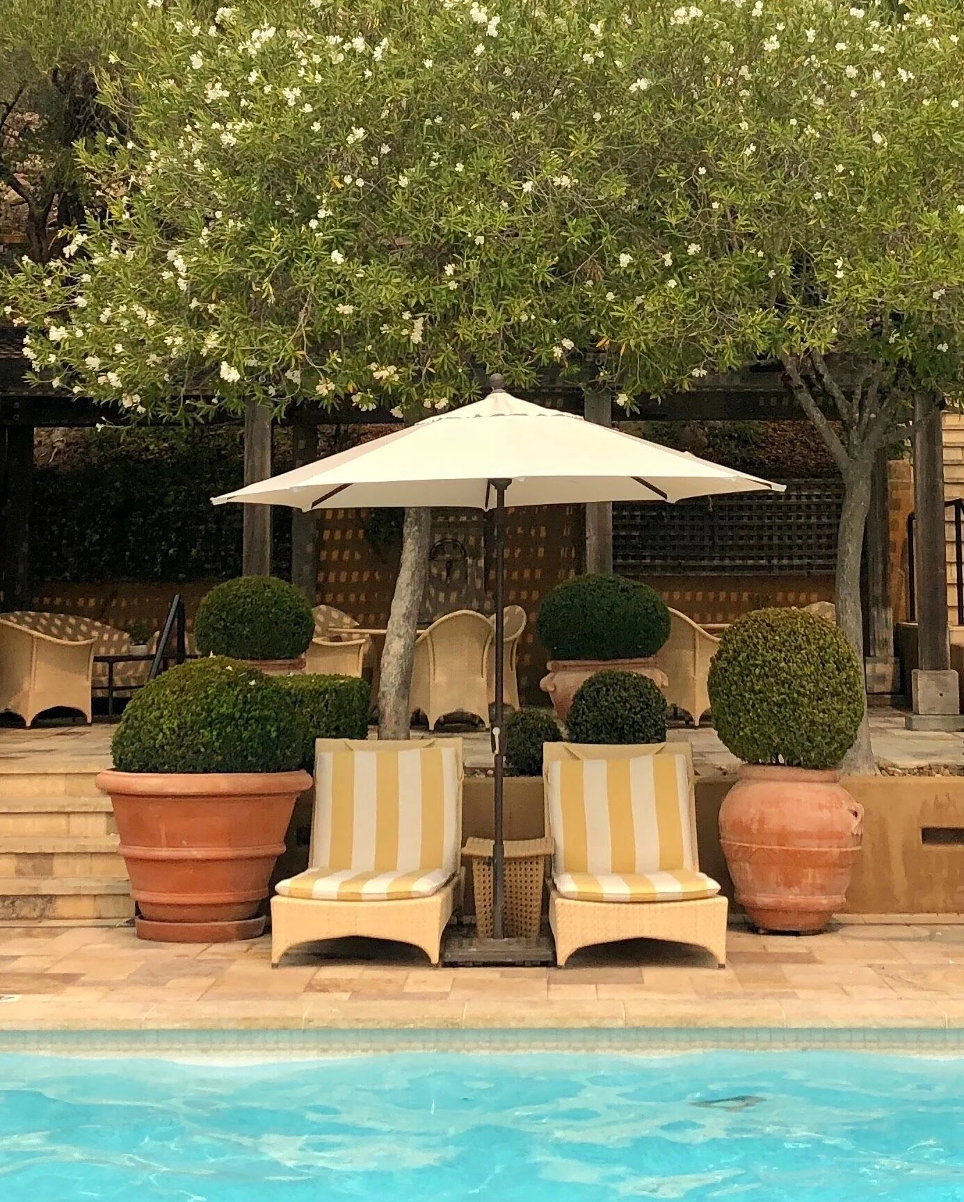 A ‘Suite’ Stay at Auberge du Soleil In Napa Valley for our 20th Anniversary