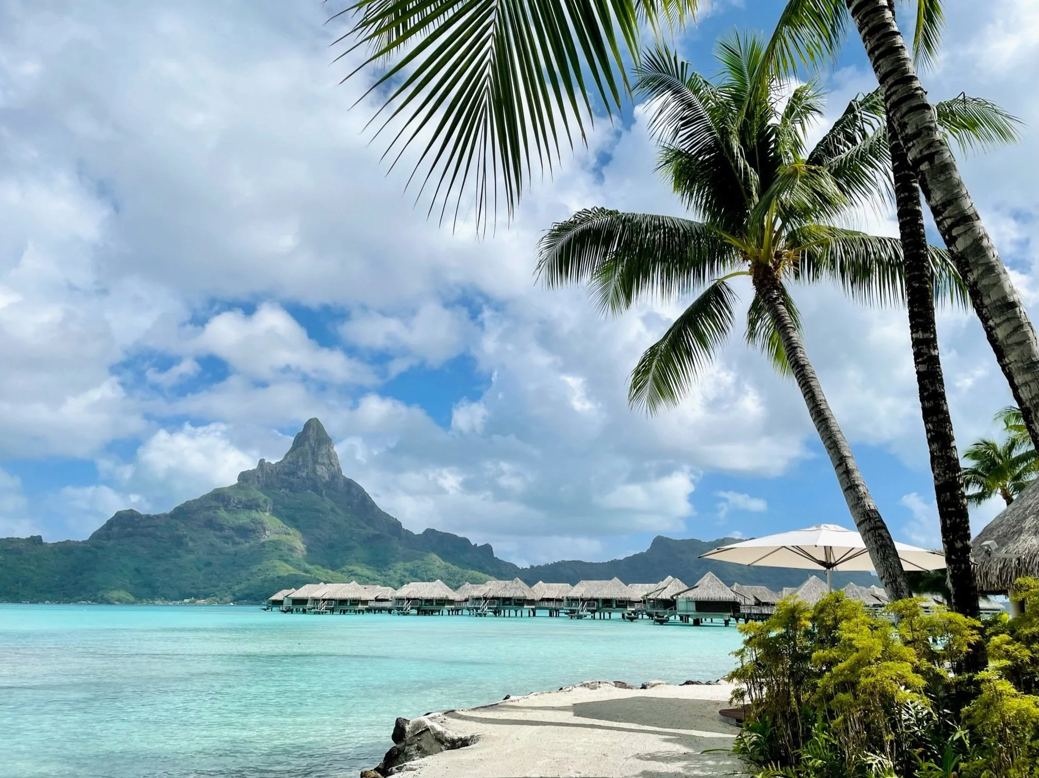 Reflecting on Travel 2021 plus a hopeful horizon for 2022!