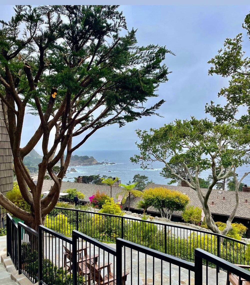 Lovely to be back in charming Carmel by the Sea for a celebratory weekend with my family. 💝 #carmelbythesea #traveladvisor