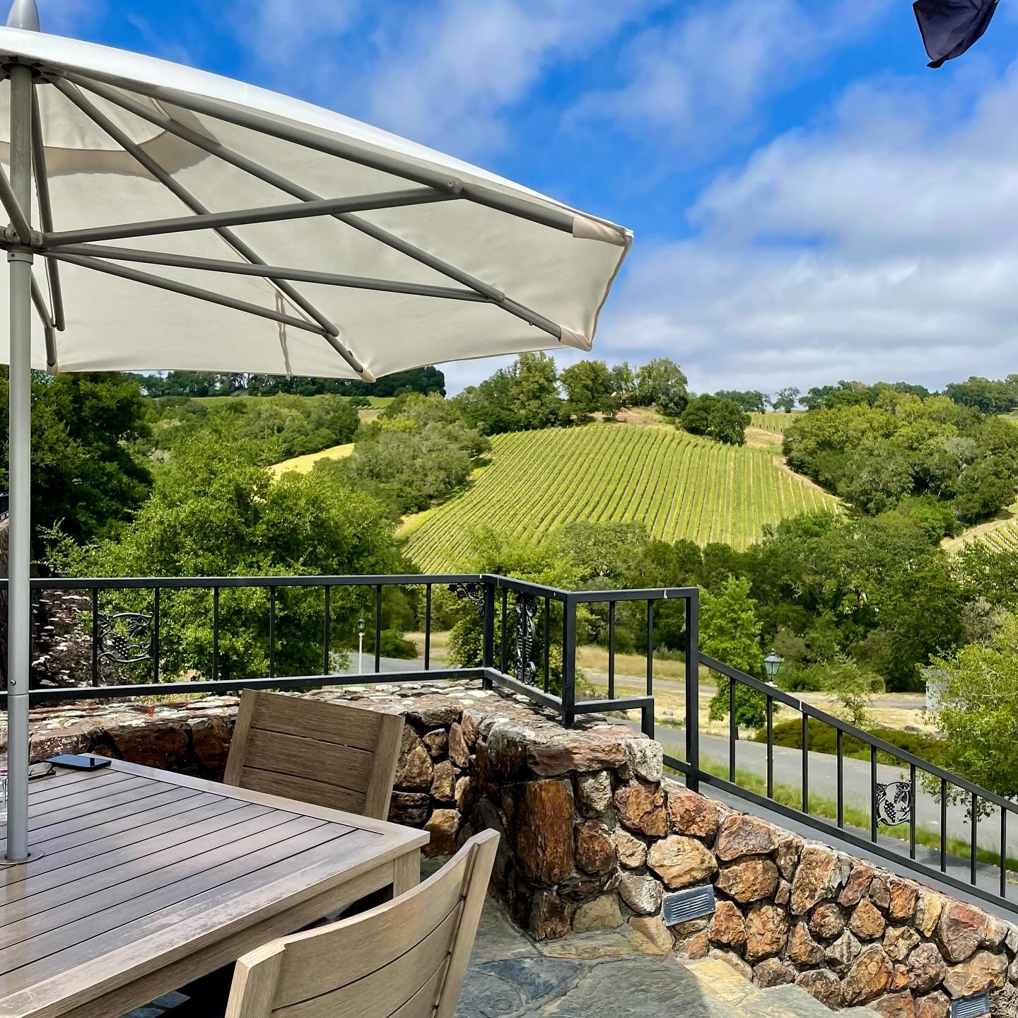 Perfect timing on a sweet, spring getaway to wine country near Healdsburg. ☀️ Thank you to some of our old and new favorites in wine country! @chalkhillestate @hotellesmarsofficial @bravasbardetapas @foleyfoodandwinesociety @rooftop106 @guisolatinfus