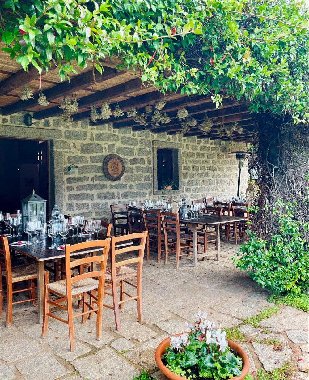 A lovely winery tour and tasting at Piero Mancini 🍷 plus a visit to the charming town of San Panteleone on the Island of Sardinia. #sardinia #seabourncruise #pieromancini #traveladvisor #boutiquehotelonthewater