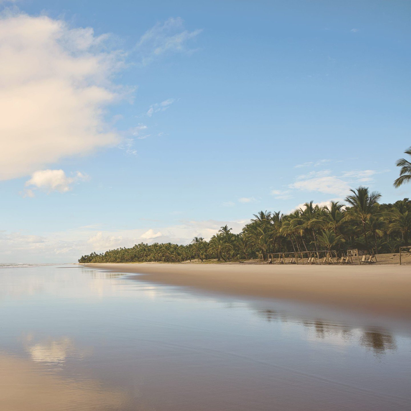 In Bahia&rsquo;s Itacar&eacute;, conservation and travel go hand in hand. Stay near the Atlantic Forest, or Mata Atl&acirc;ntica, the home to some of Brazil&rsquo;s rarest species, and support one of the world&rsquo;s most endangered ecosystems. 🌎🌿