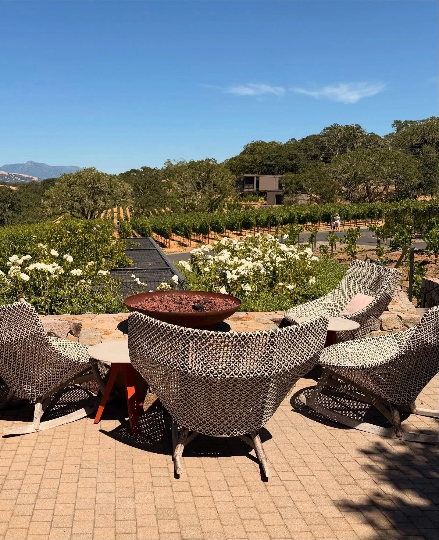 Lovely to be back at one of our favorites! Thank you @montagehealdsburg for another delightful wine country visit! ☀️#montage #winecountry #healdsburg #luxurytravel #traveladvisor