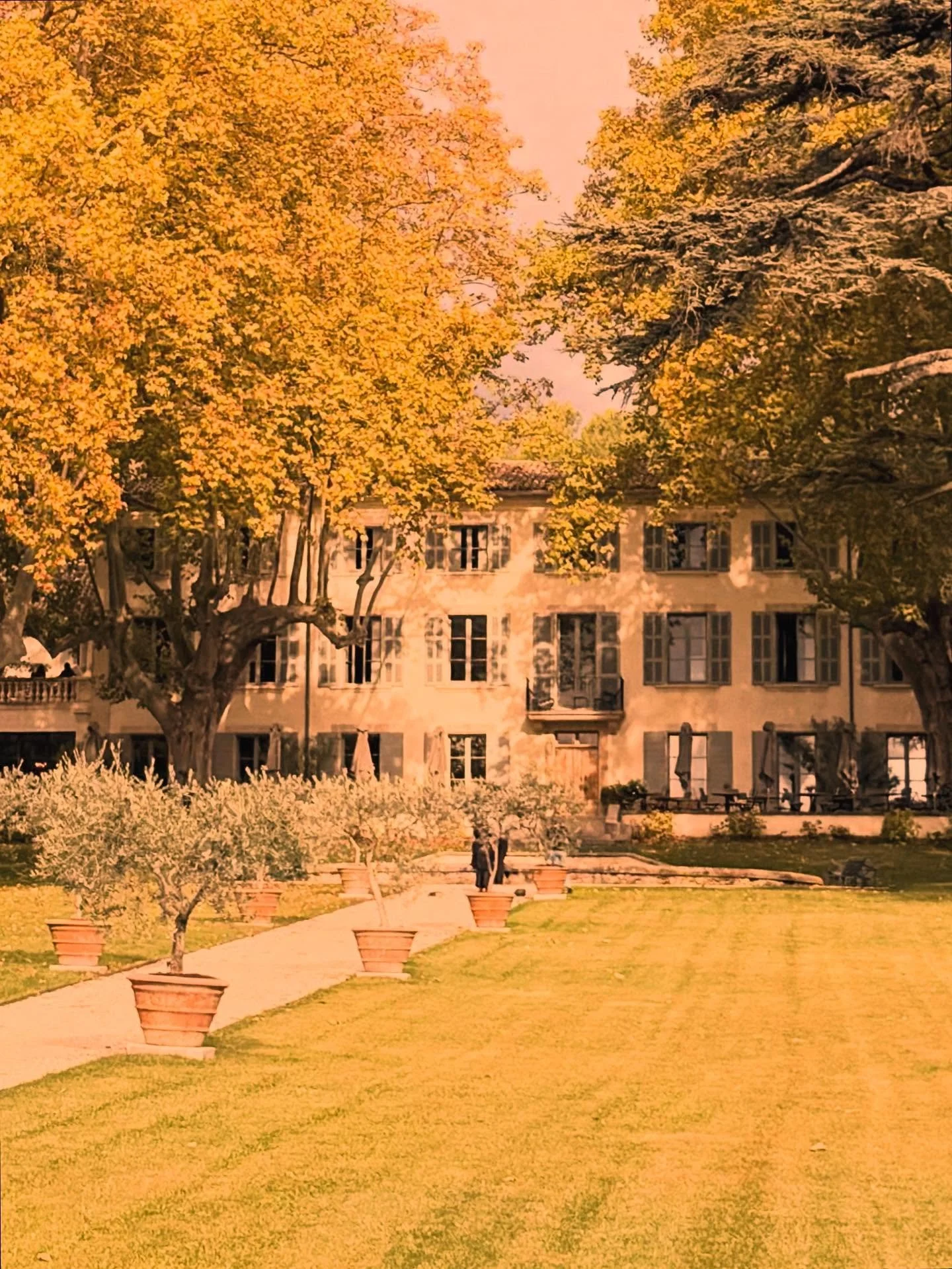 Our Proven&ccedil;al dreams came true at Domaine de Fontenille. 🕊️🍷🇫🇷
Our stay at this Relais &amp; Ch&acirc;teaux haven in the Luberon wrapped us in vineyard views, artful calm, and soulful luxury. The timeless elegance of Provence, with the sou