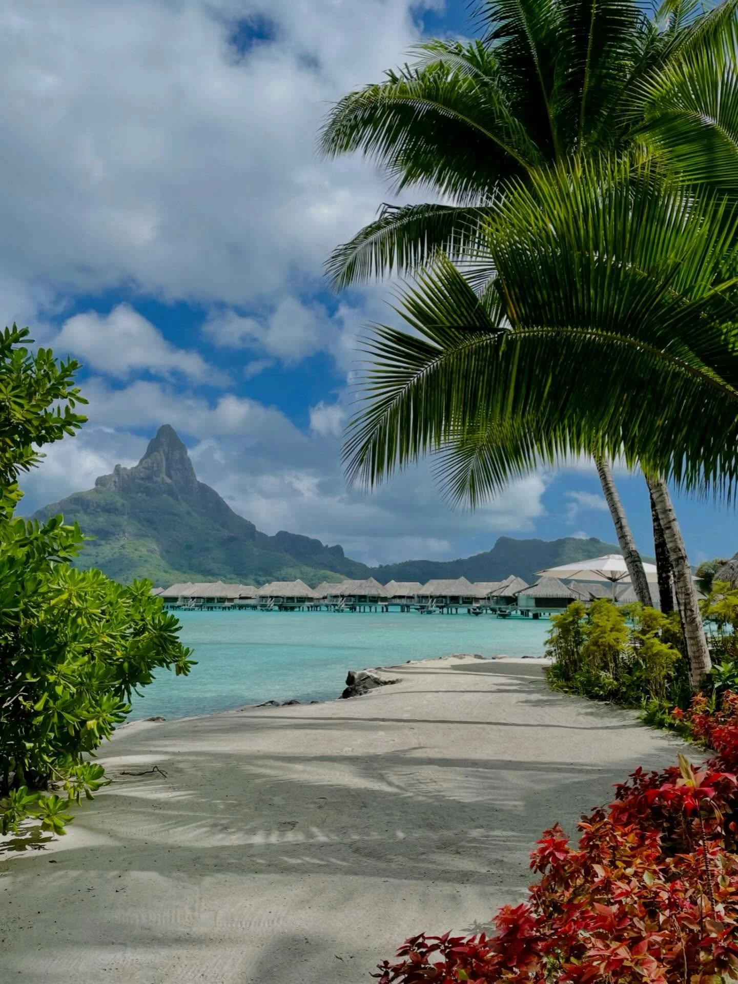Curated Escapes No. 3 🔸 French Polynesia &mdash; where dreamy breezes slip through palms like silk and the whole world exhales.🏝️🏝️🏝️ 🔸#frenchpolynesia #borabora #traveladvisor #curatedescapes