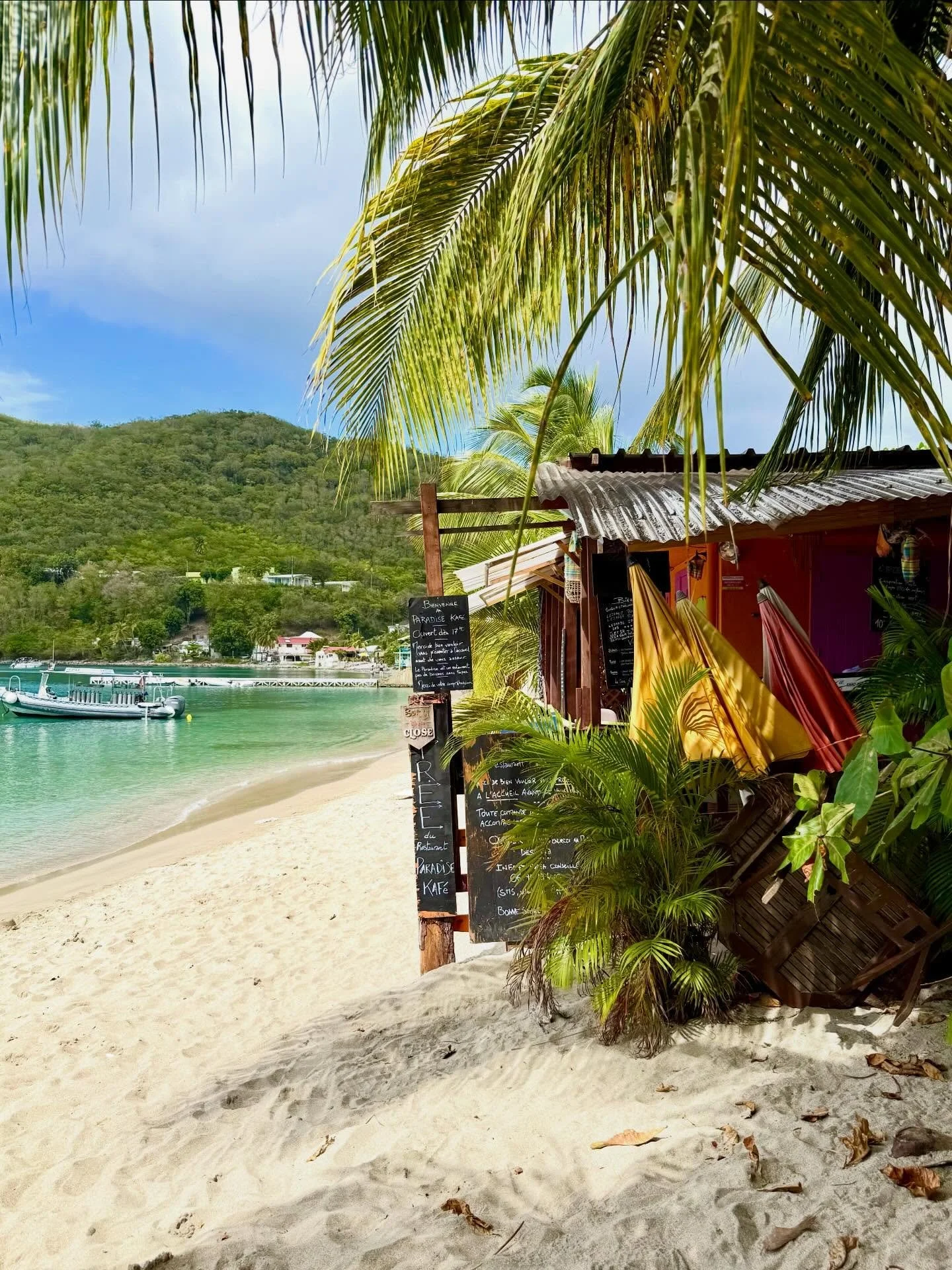 Bonjour Deshaies! 🌺🌴☀️A colorful village on Guadeloupe in the French West Indies. The surprise rainbow from our terrace was a bonus! 🌈  #deshaiesguadeloupe #explorajourneys